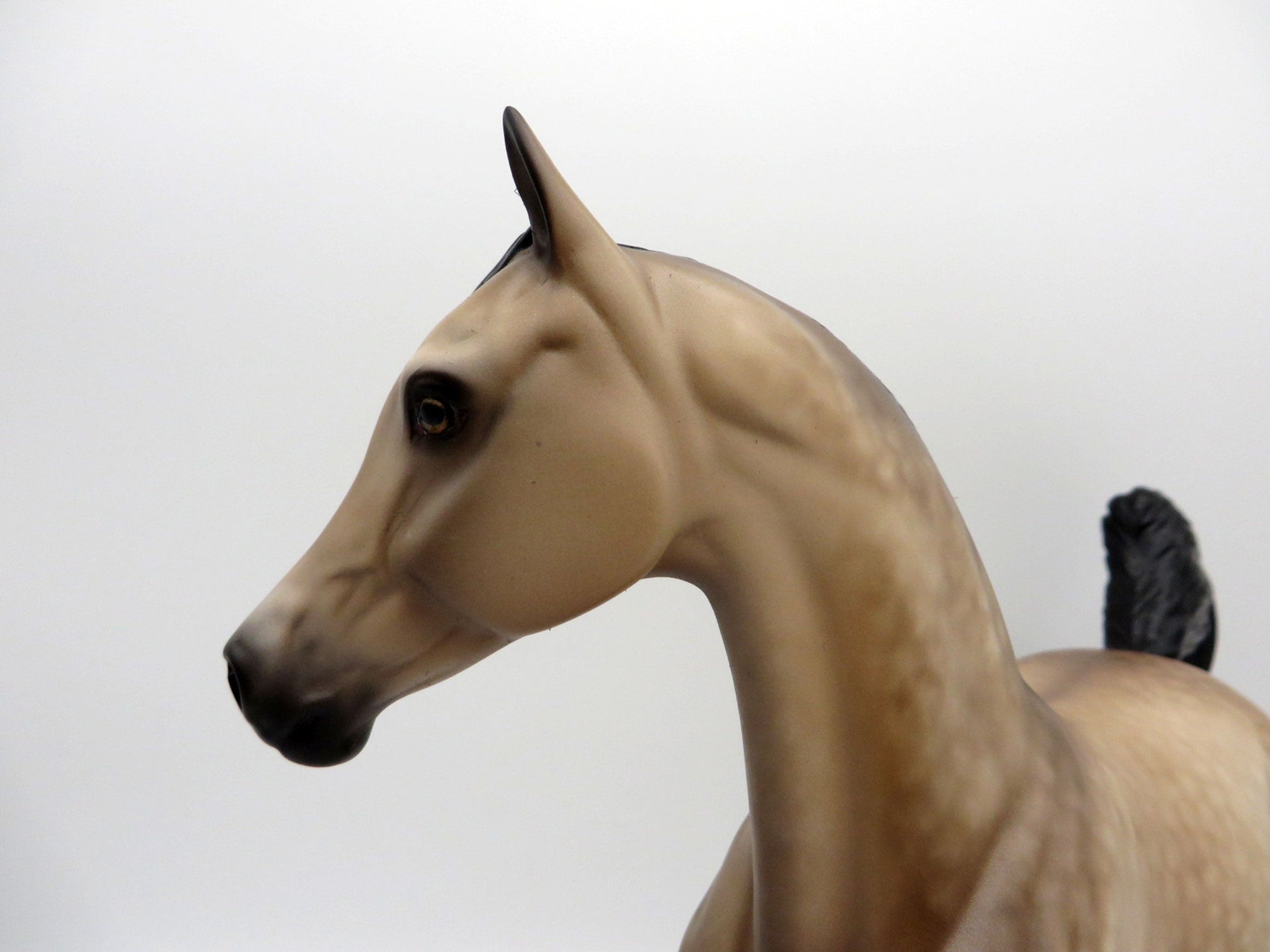 Shake it Up-OOAK Dapple Buckskin Arabian Mare Painted by Sheryl Leisure 7/26/21