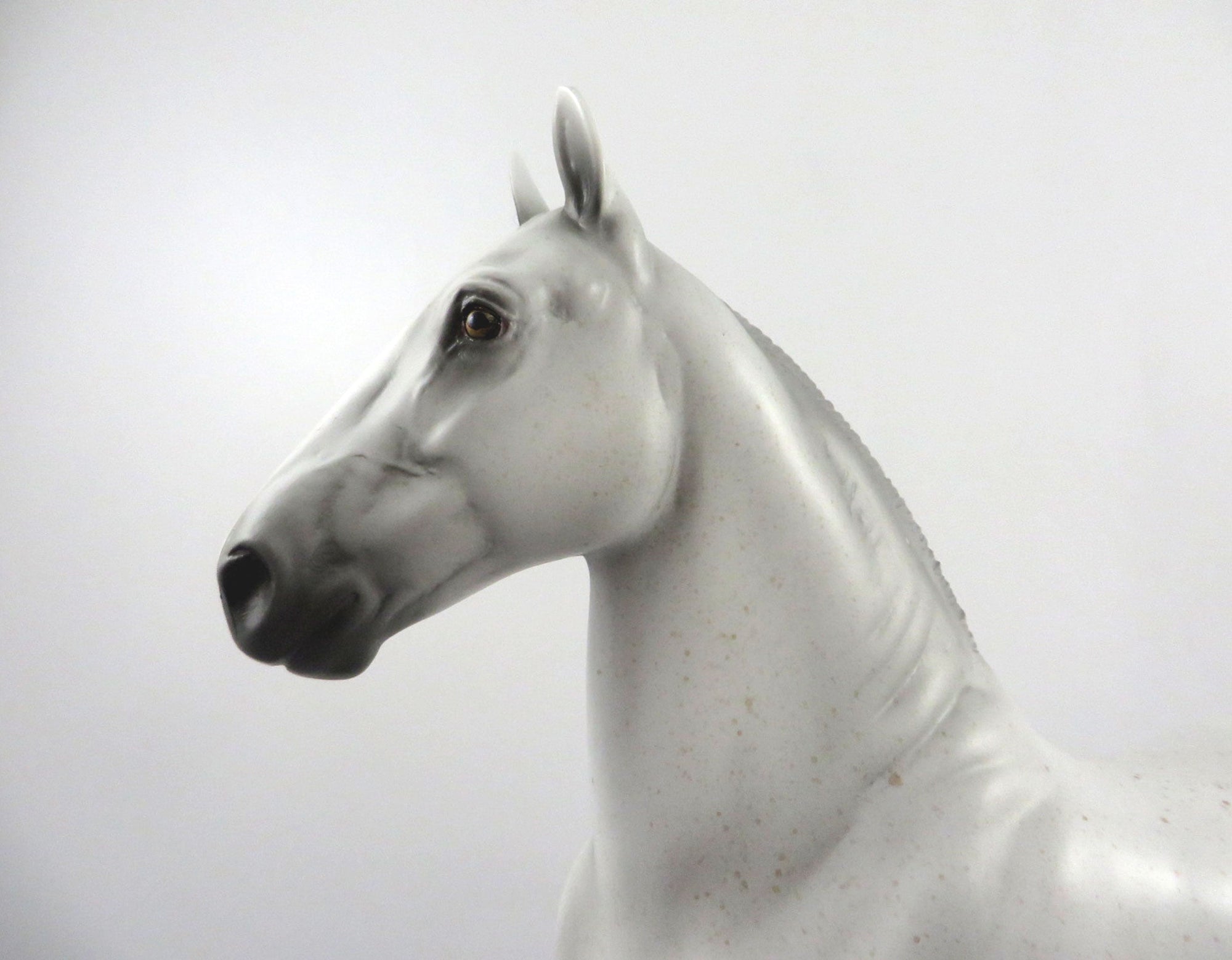 Sharmock-OOAK Fleabit Trotting Draft 2/26/21