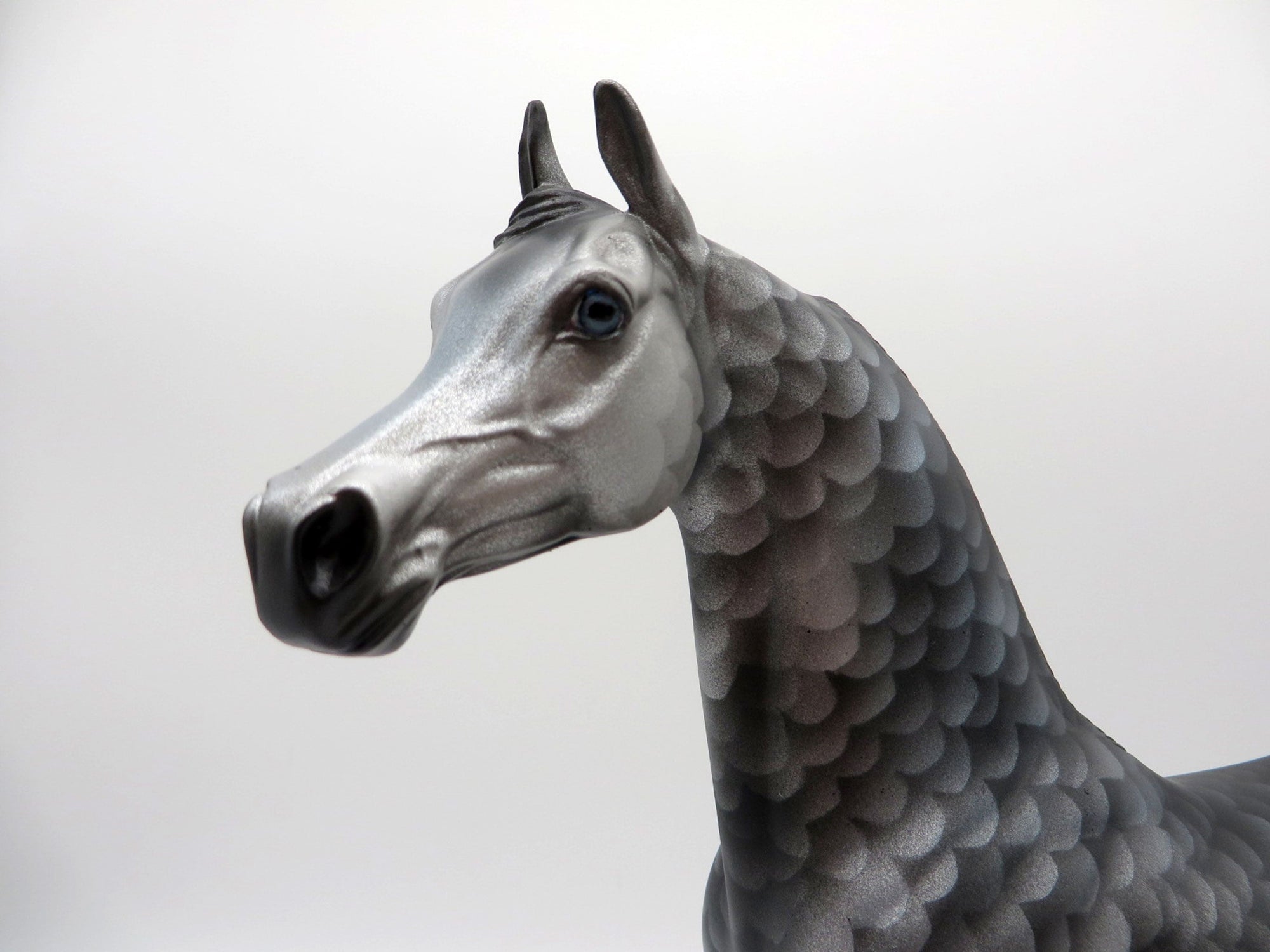 Shark Bait-OOAK Deco Arabian Painted By Ellen Robbins 7/16/21