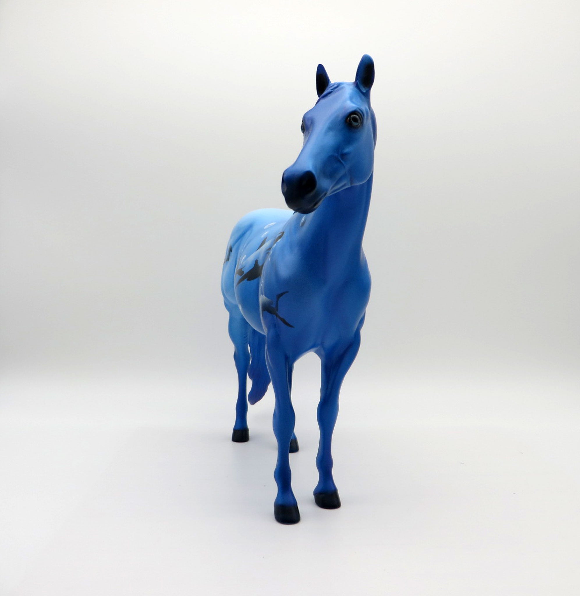 Shark Tank-OOAK Shark Week Deco ISH Painted BY Dawn Quick  7/16/21