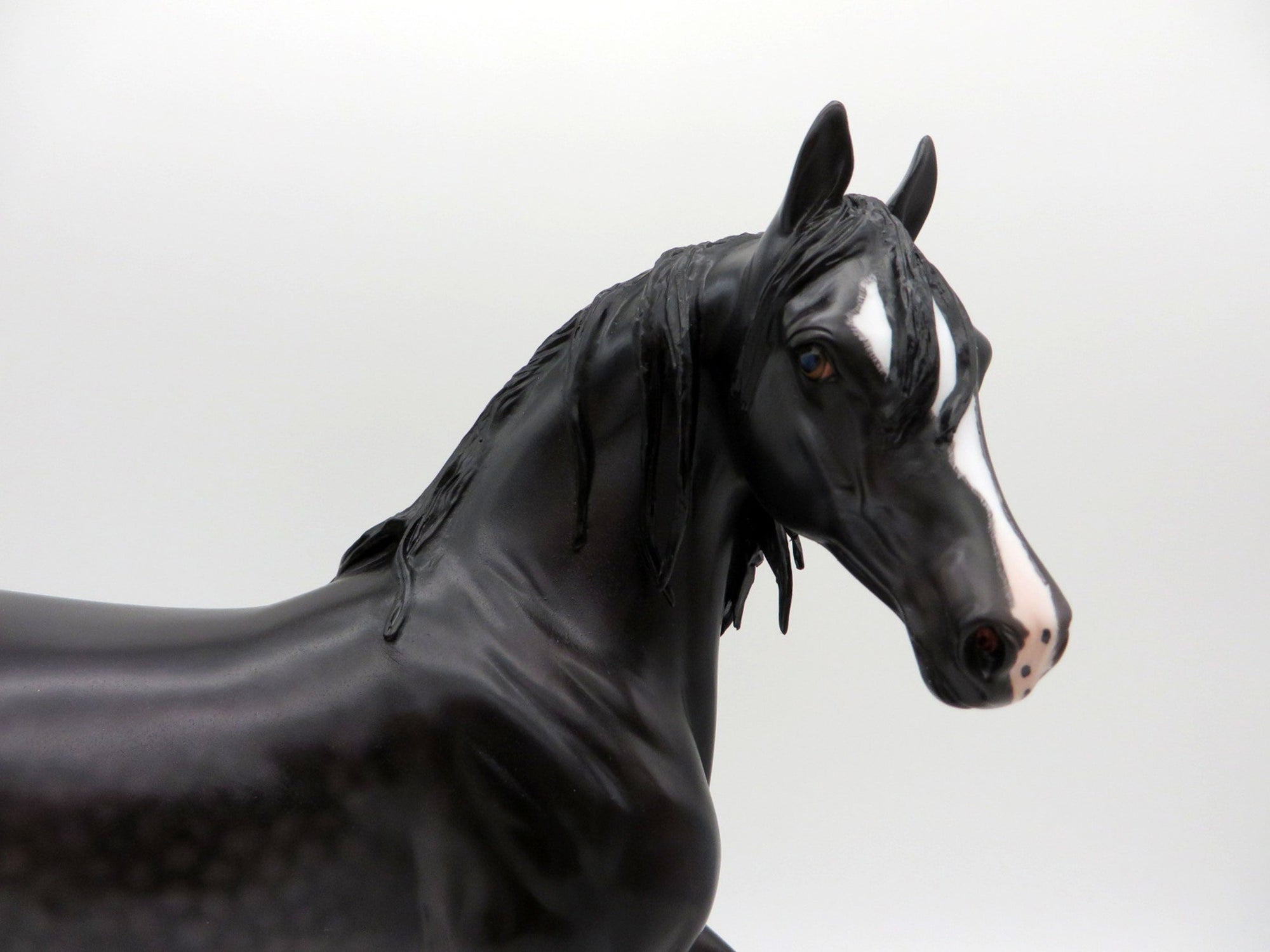 Shasta-OOAK Dapple Black Arabian Mare Painted By Caroline Boydston 6/28/21