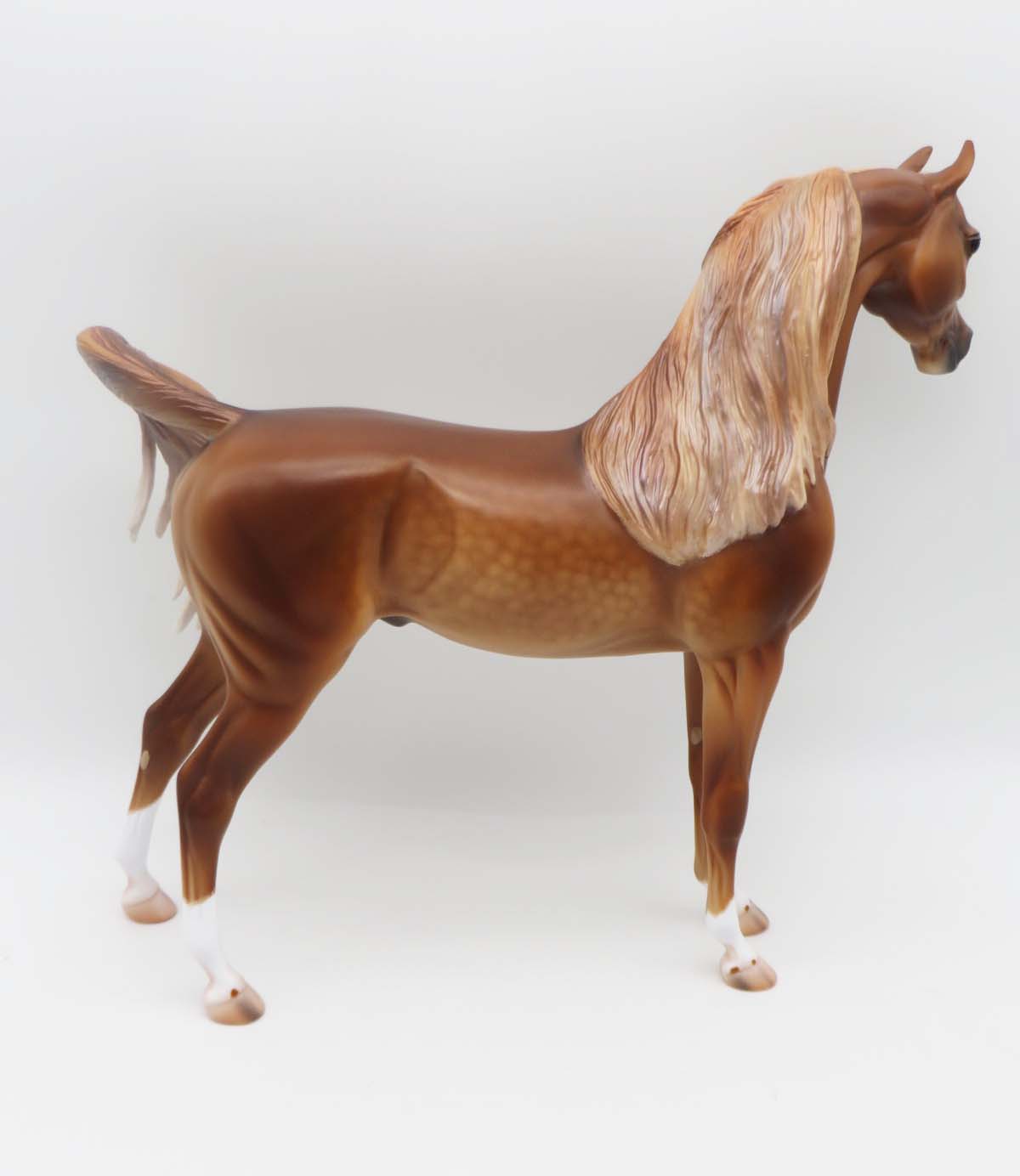 Sheehan - OOAK - Dappled Chestnut Arabian By Caroline Boydston BEST OFFER 3/13/23