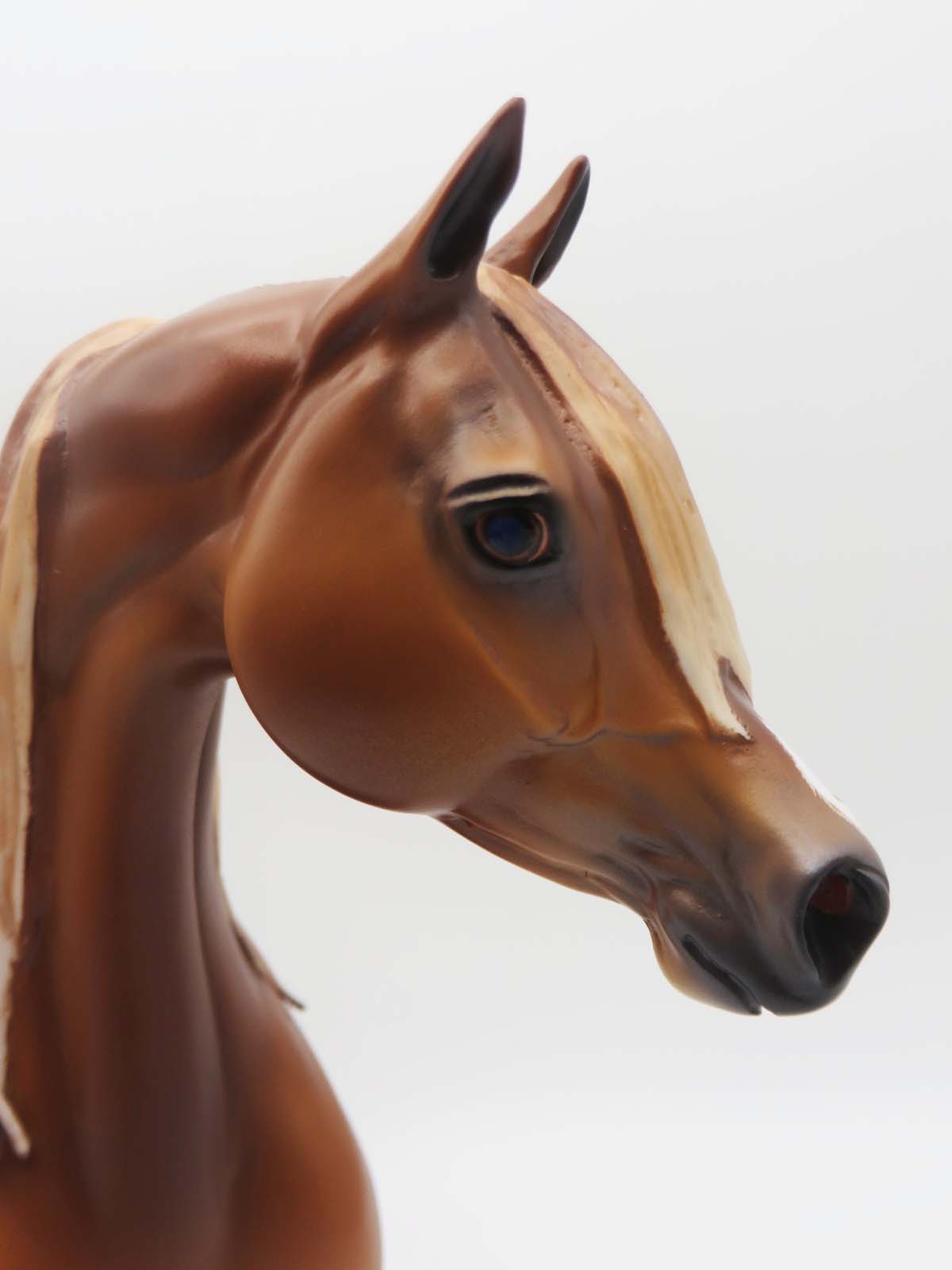 Sheehan - OOAK - Dappled Chestnut Arabian By Caroline Boydston BEST OFFER 3/13/23