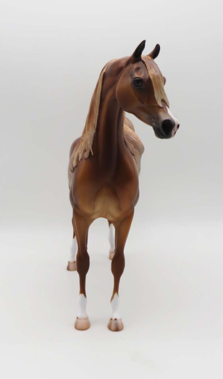 Sheehan - OOAK - Dappled Chestnut Arabian By Caroline Boydston BEST OFFER 3/13/23