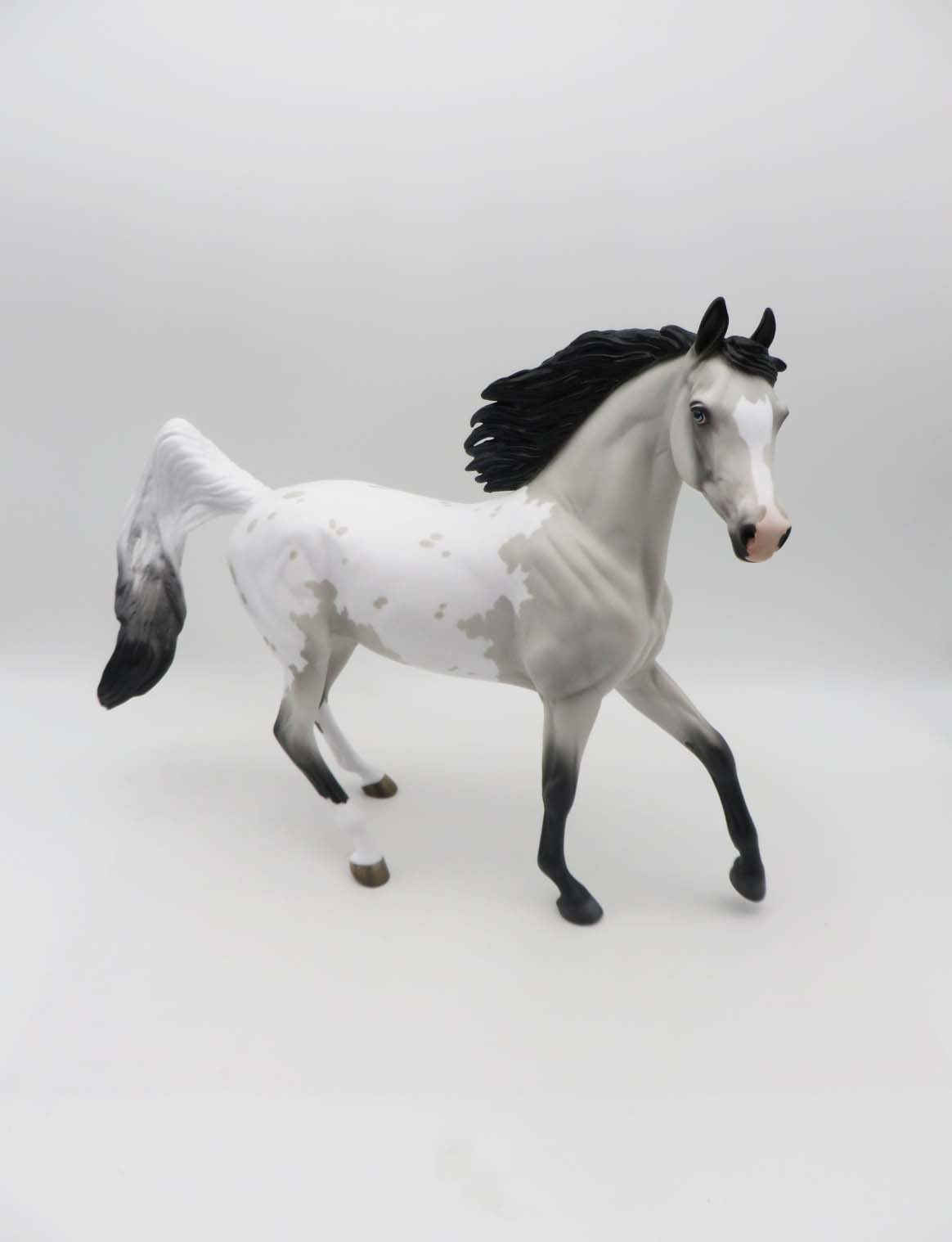 Shelby Grey Appaloosa Arab Mare By Jess Hamill SHCF23