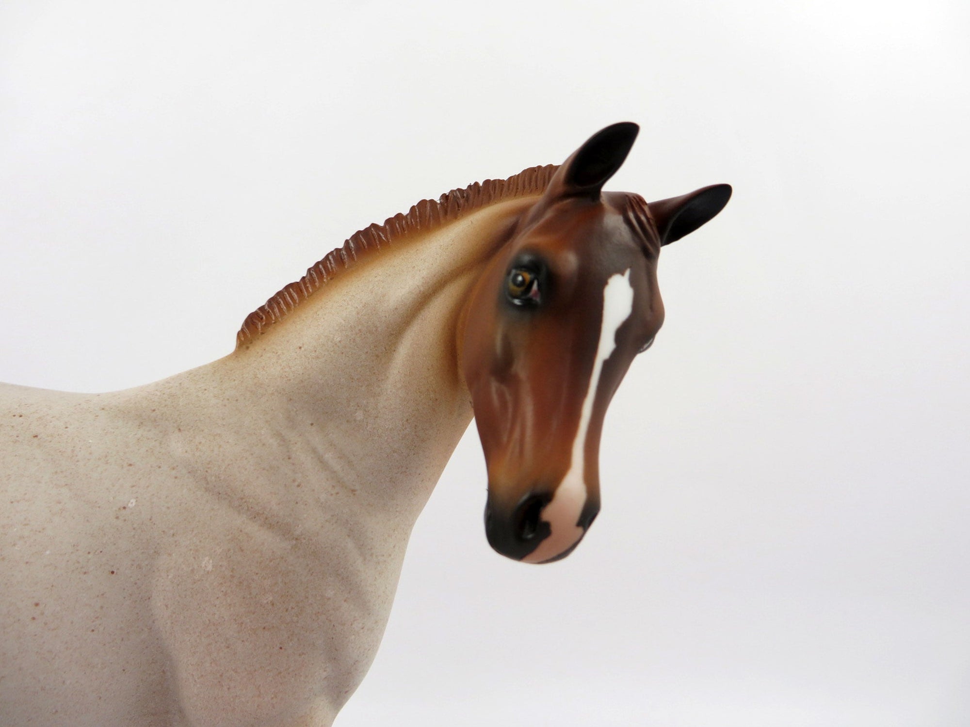 SHEZA DOC STAR-LE-10 RANCH HORSE RED ROAN Weanling