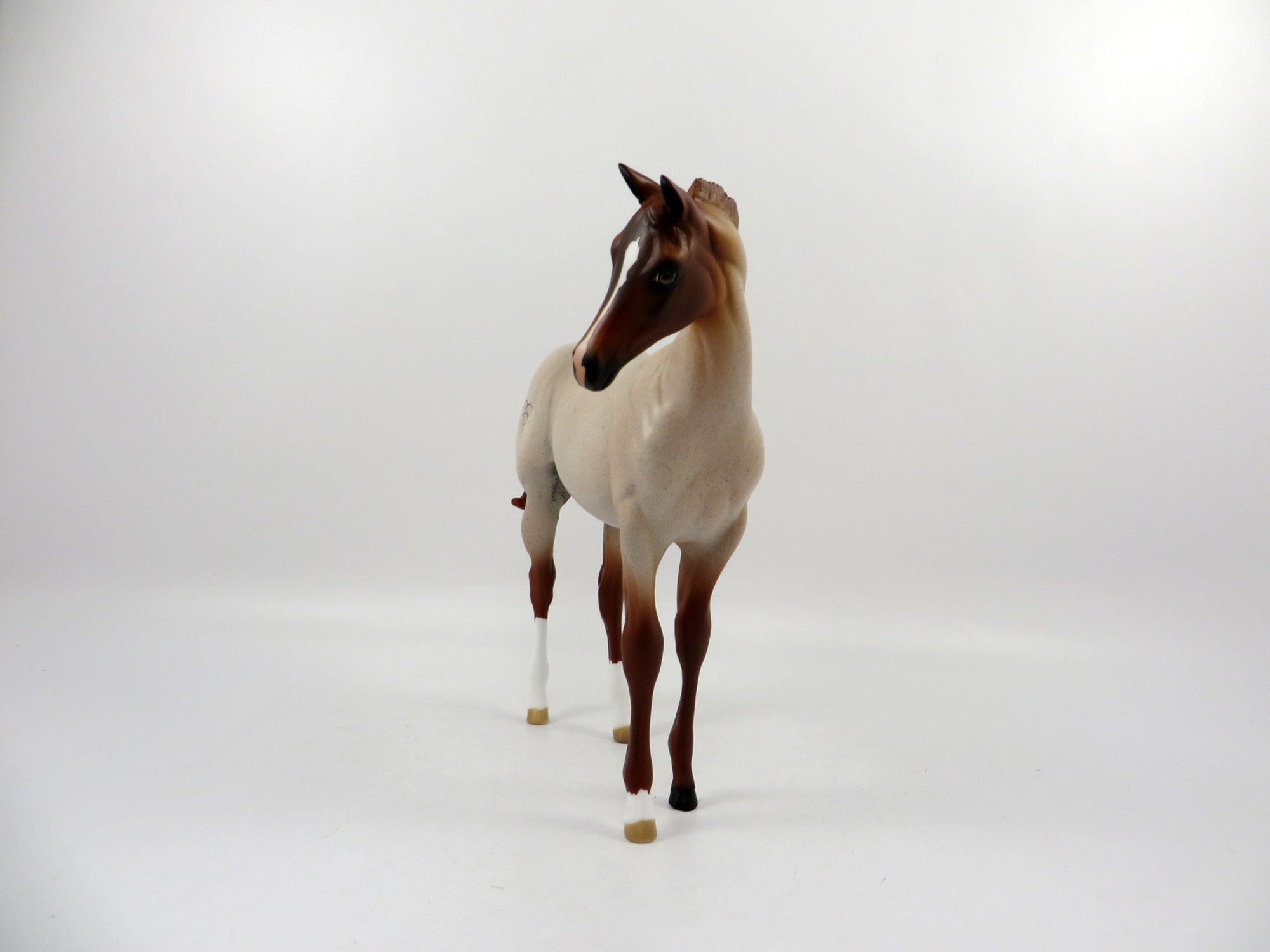 SHEZA DOC STAR-LE-10 RANCH HORSE RED ROAN Weanling