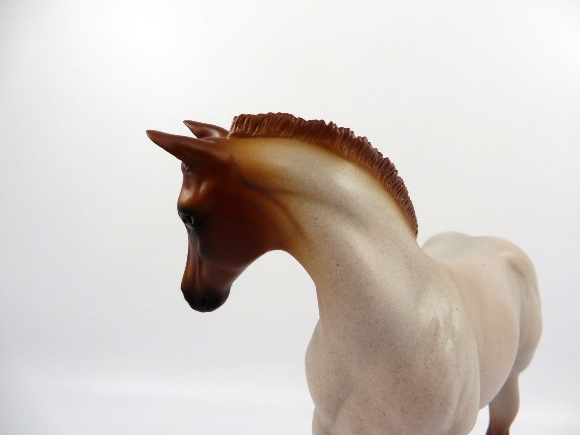 SHEZA DOC STAR-LE-10 RANCH HORSE RED ROAN Weanling