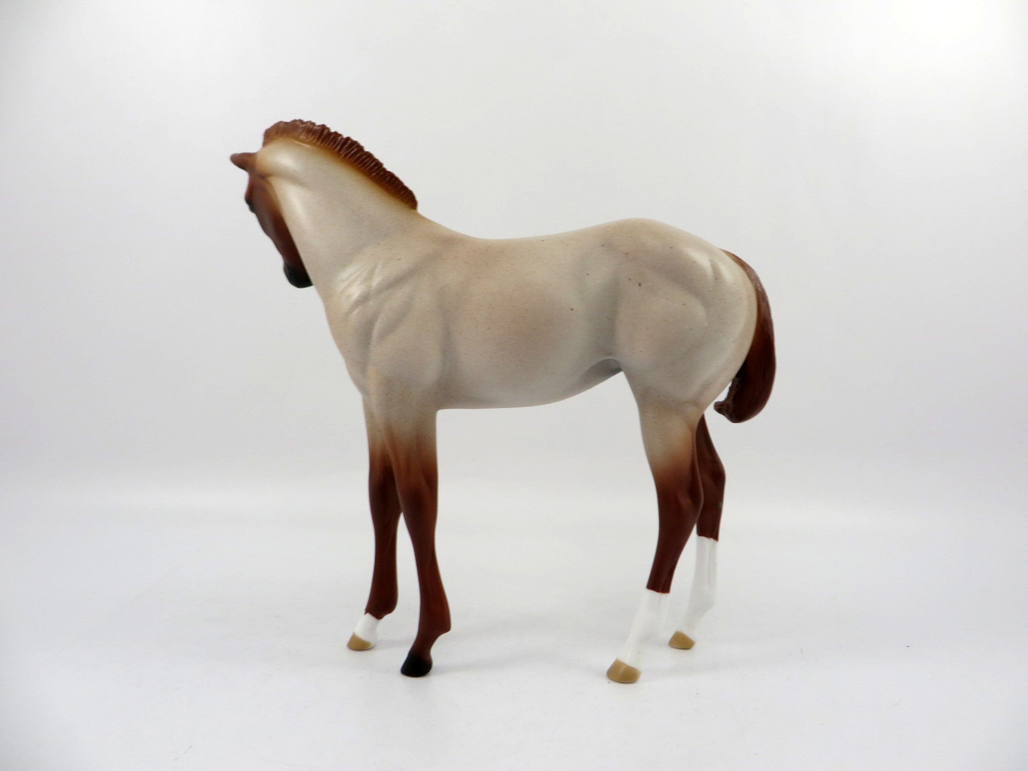 SHEZA DOC STAR-LE-10 RANCH HORSE RED ROAN Weanling