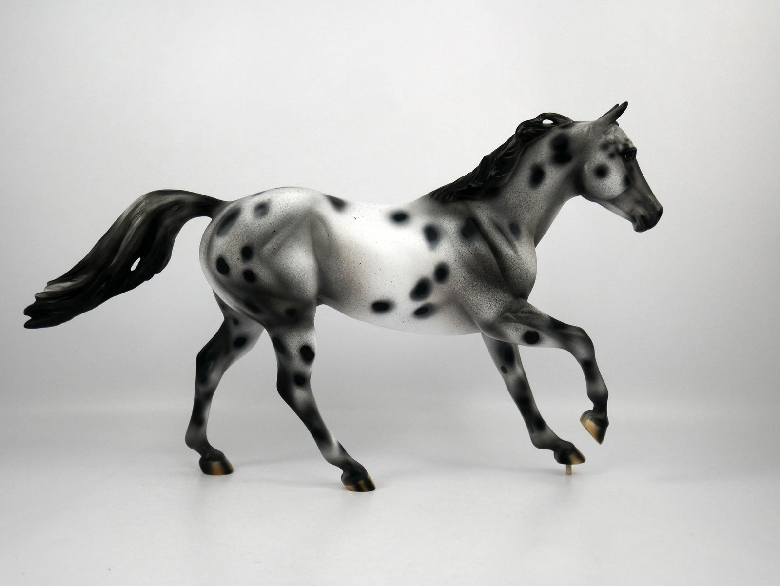 Shine Down-OOAK Appaloosa Running Quarter Horse 1/8/21