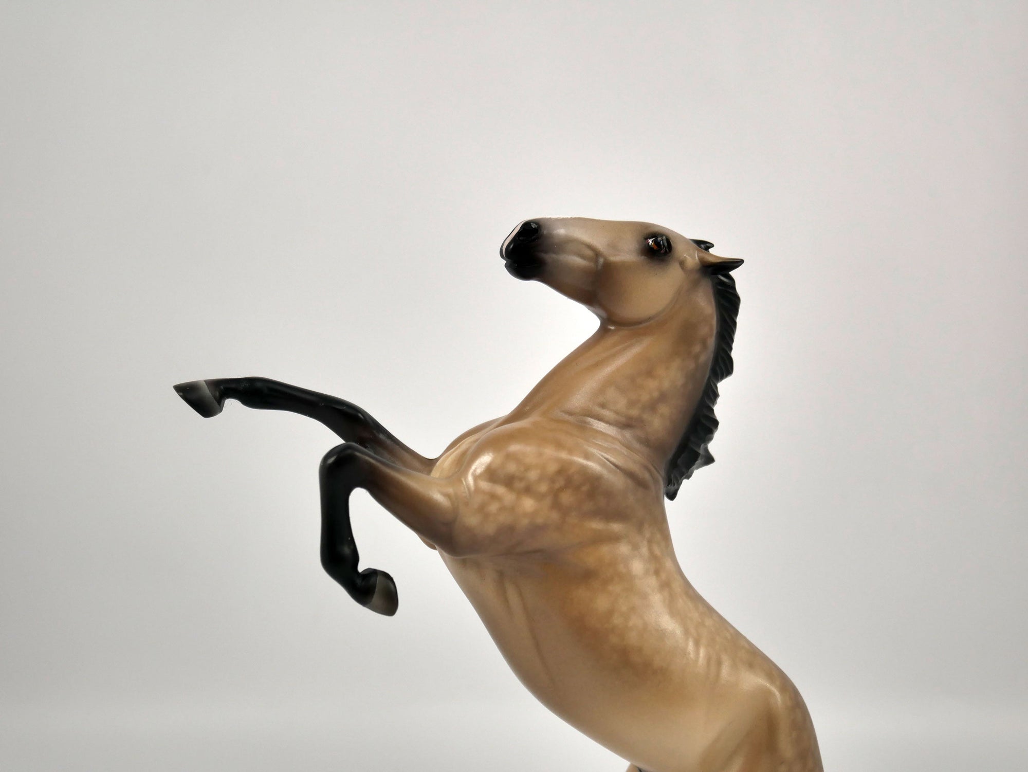 Shinning Bright-OOAK Buckskin Rearing Pebbles Painted By Sheryl Leisure 12/30/20