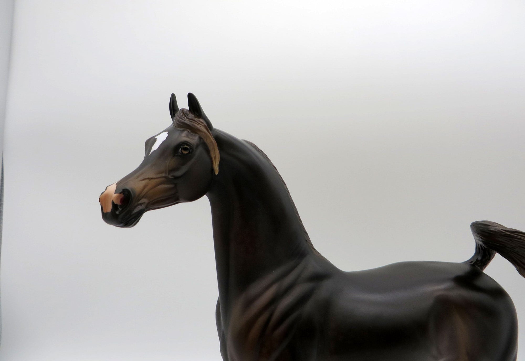 Shiraz-OOAK Liver Chestnut Arabian Painted By Dawn Quick  5/21/21