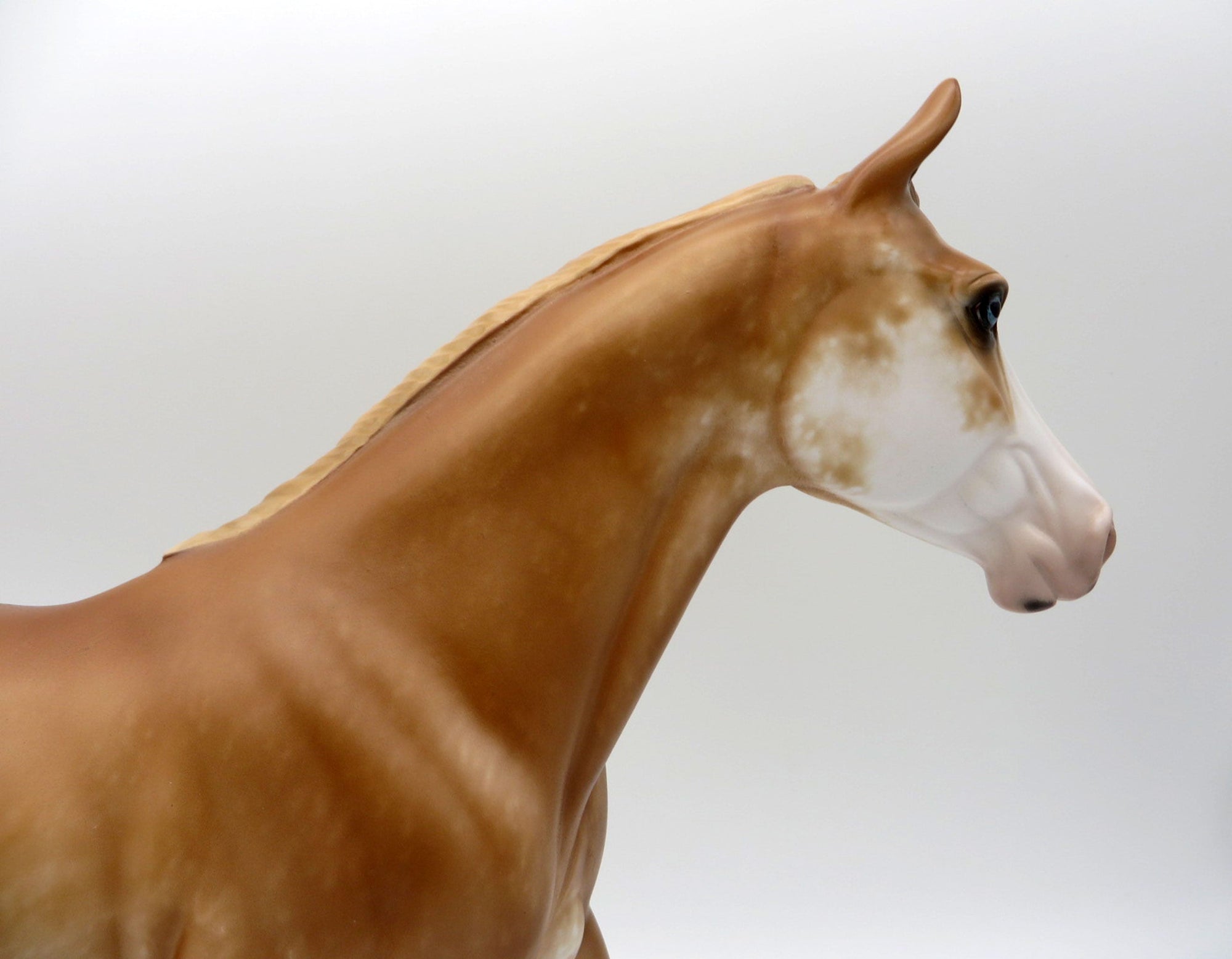 Sherille-OOAK Chestnut Sabino Palouse Painted by Sheryl Leisure 11/22/21