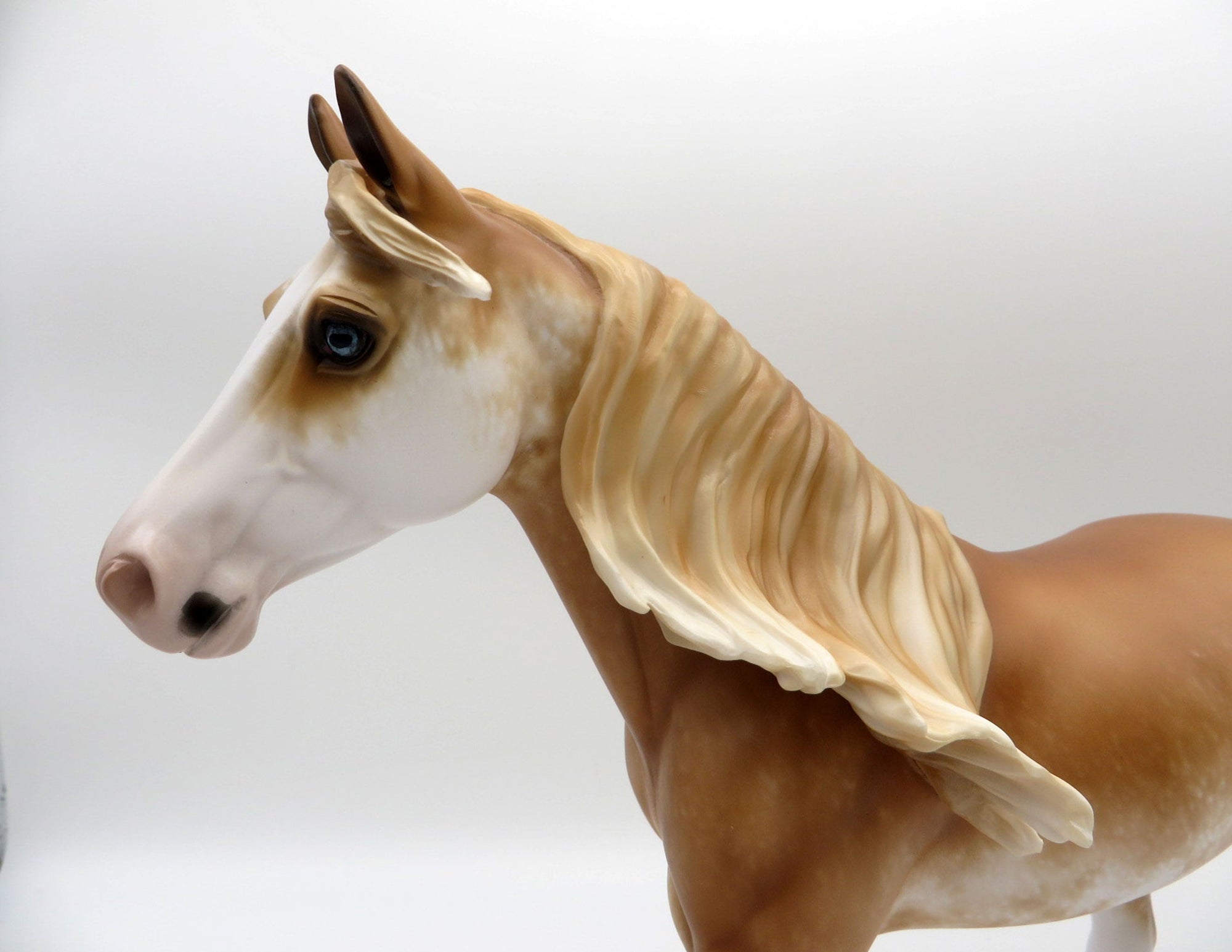 Sherille-OOAK Chestnut Sabino Palouse Painted by Sheryl Leisure 11/22/21