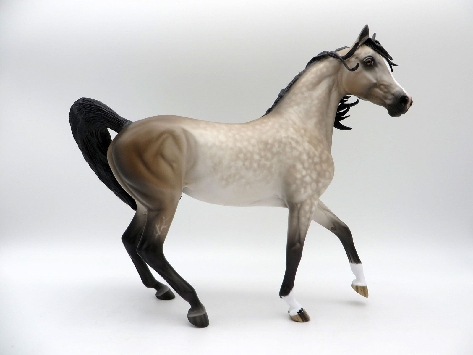 Sho Nuff-OOAK Dapple Bay going Grey Arabian Mare Painted By Sheryl Leisure 5/24/21