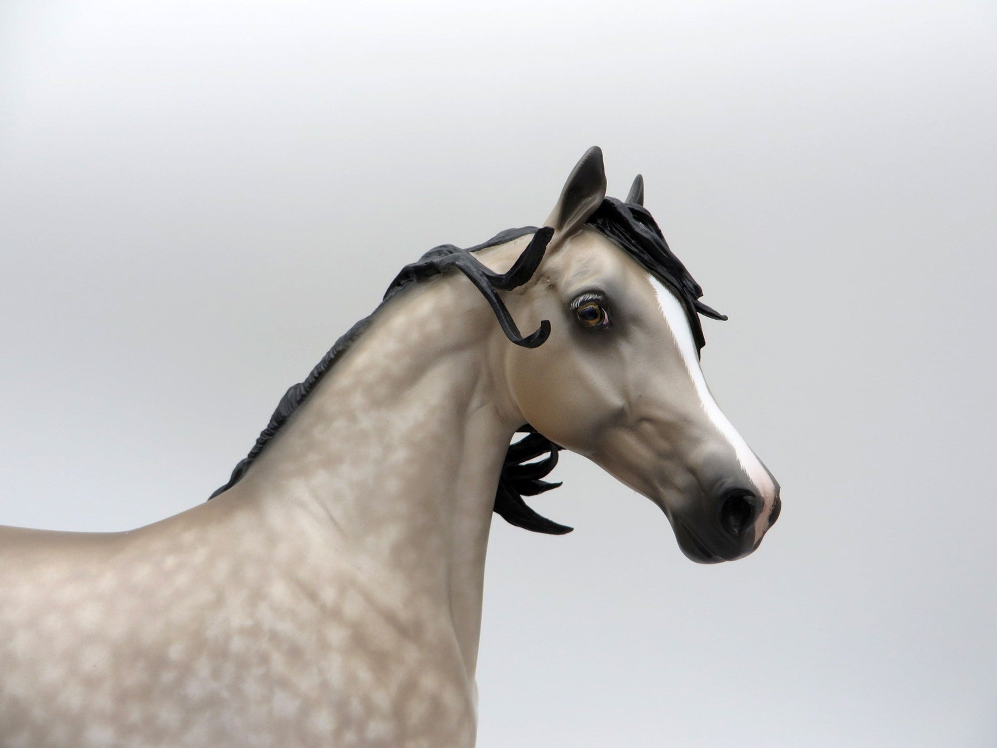 Sho Nuff-OOAK Dapple Bay going Grey Arabian Mare Painted By Sheryl Leisure 5/24/21