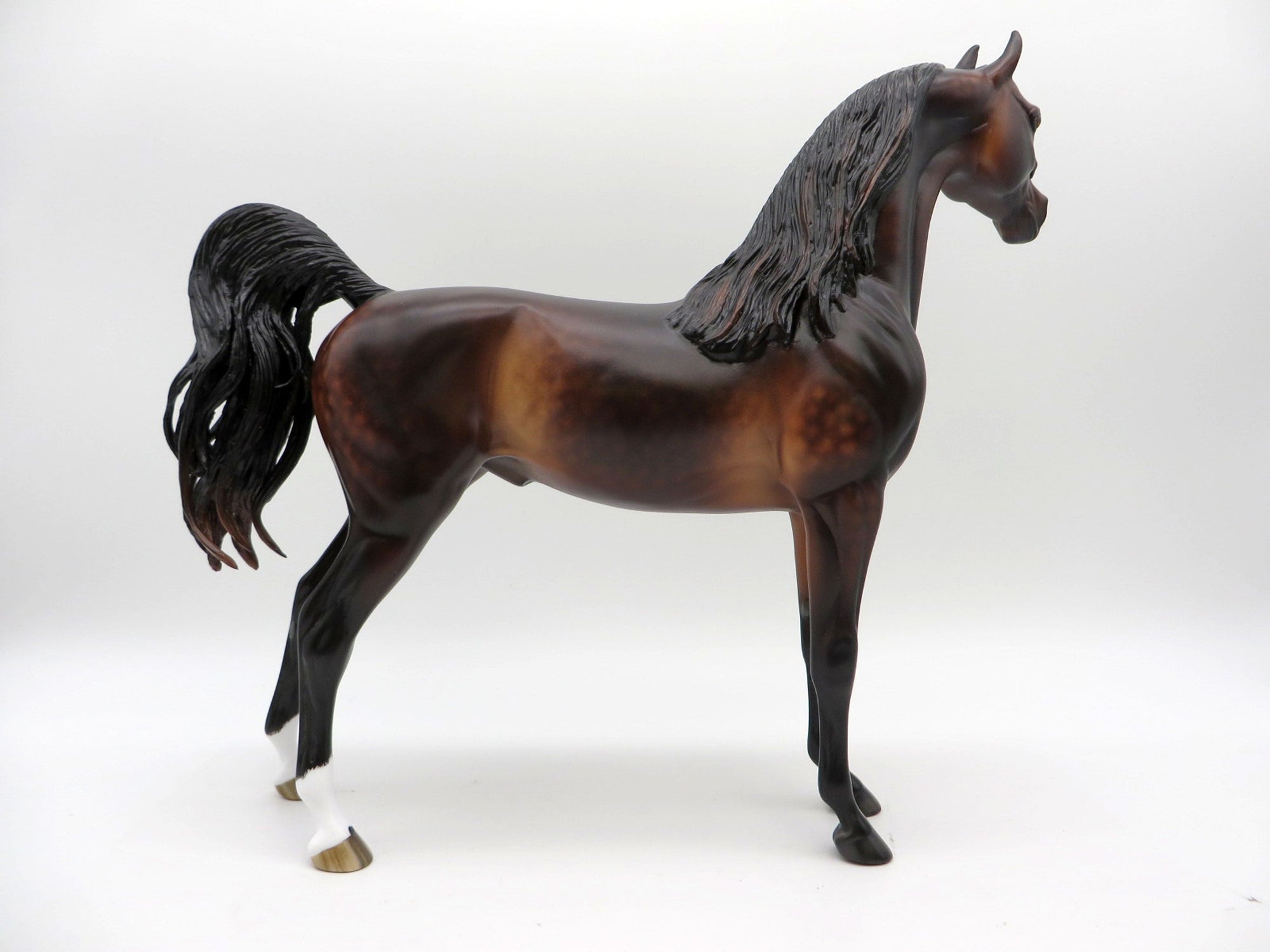 Show of Shows-OOAK Dapple Bay Arabian Painted by Sheryl Leisure 1/3/22