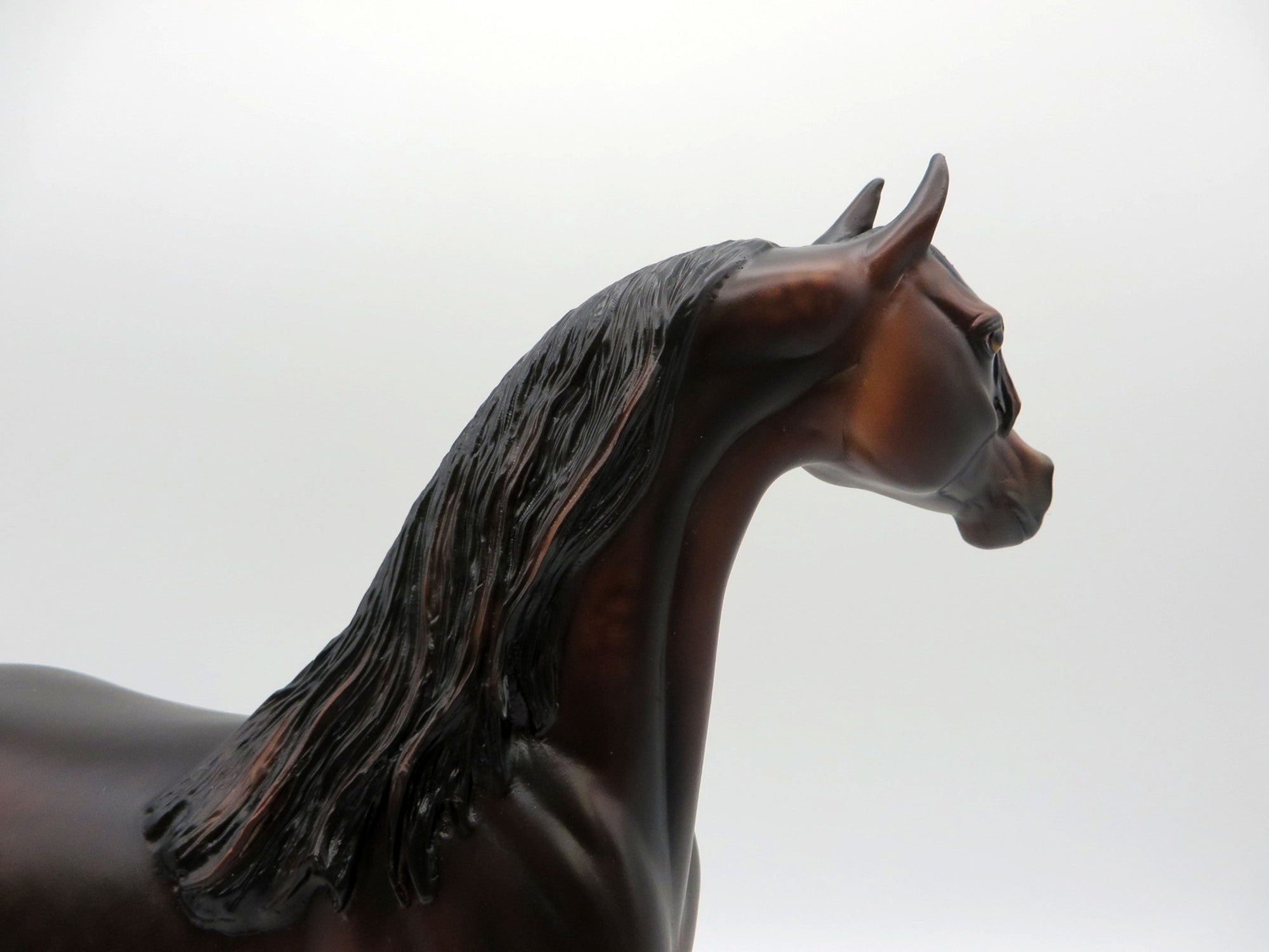 Show of Shows-OOAK Dapple Bay Arabian Painted by Sheryl Leisure 1/3/22