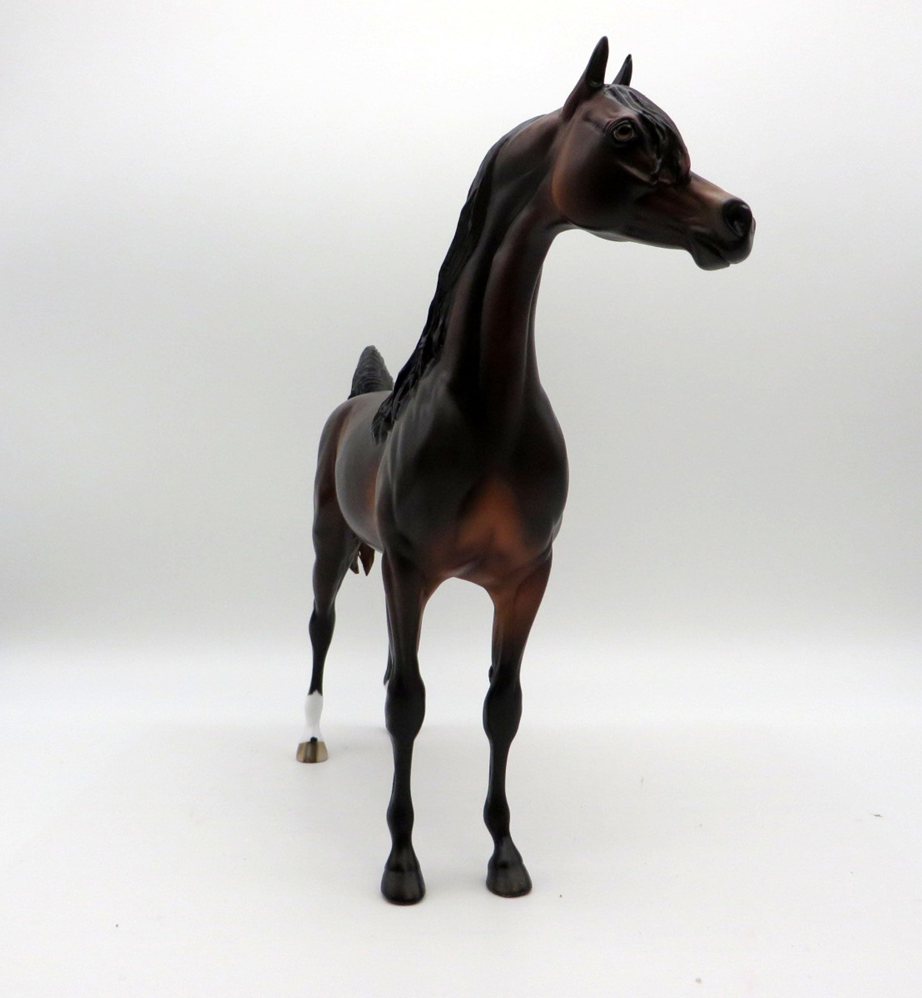 Show of Shows-OOAK Dapple Bay Arabian Painted by Sheryl Leisure 1/3/22