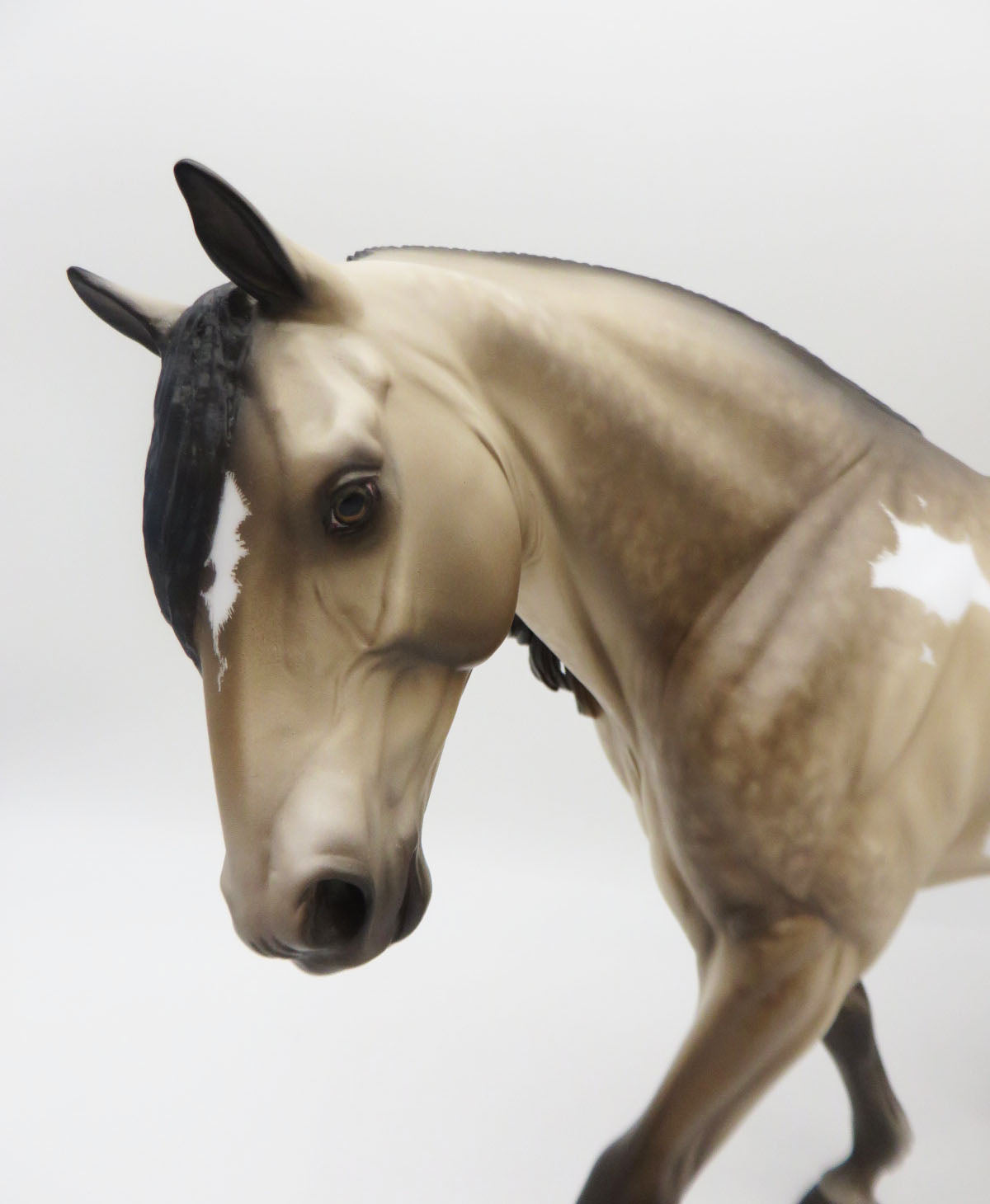 Show Me - OOAK - Buckskin Overo Irish Draft By Shery Leisure - Best Offers 2/12/23 P&amp;C 23