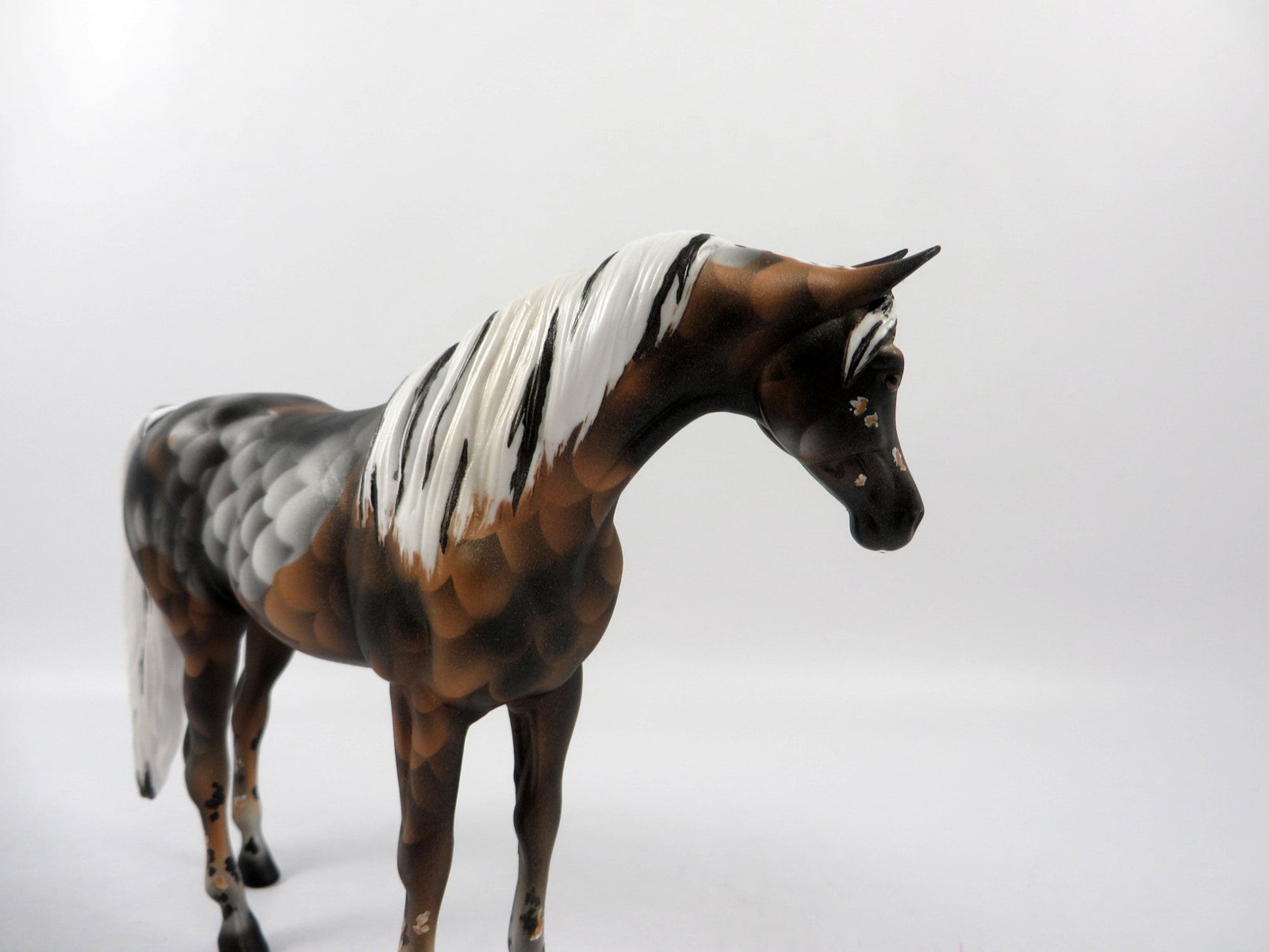 Shubunkin Goldfish-OOAK Deco Arabian Pebbles 2/19/21