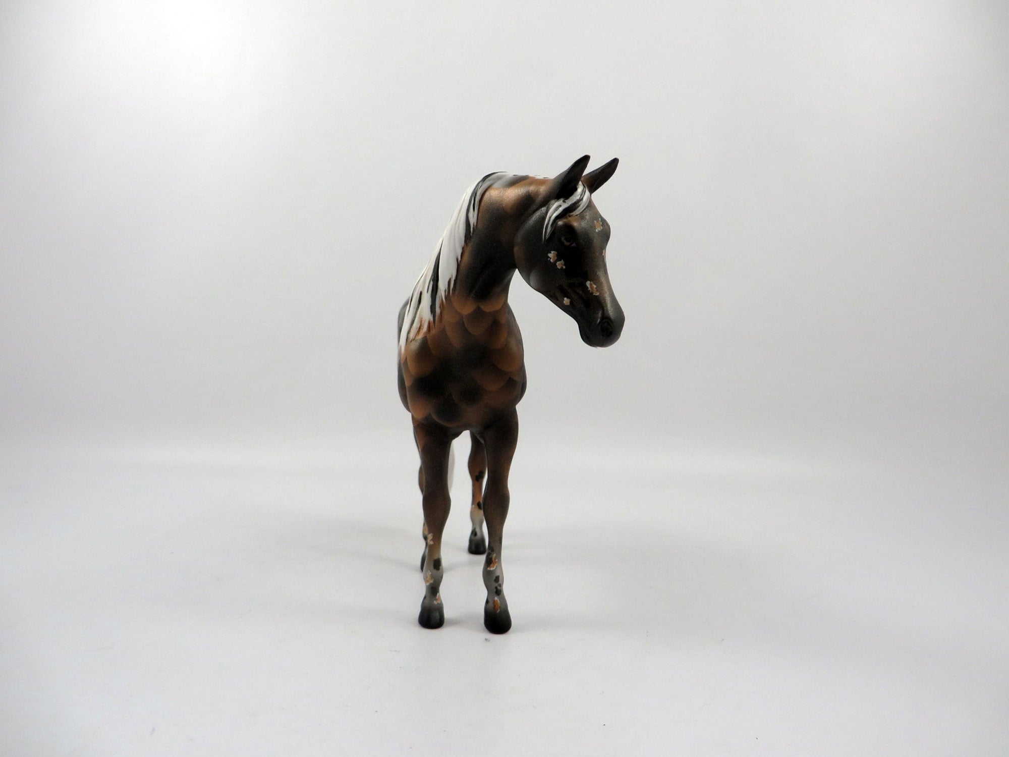 Shubunkin Goldfish-OOAK Deco Arabian Pebbles 2/19/21