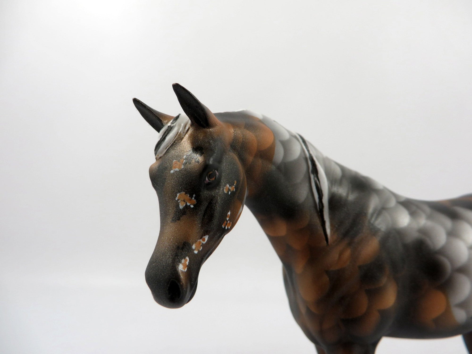 Shubunkin Goldfish-OOAK Deco Arabian Pebbles 2/19/21