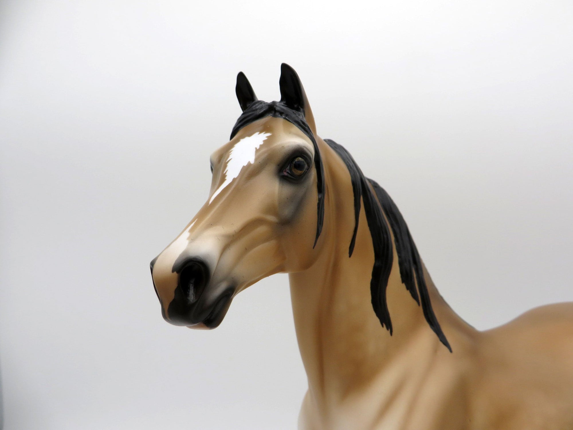 Side Car-OOAK Pangre Morgan Painted By Audrey Dixon  EQ 21