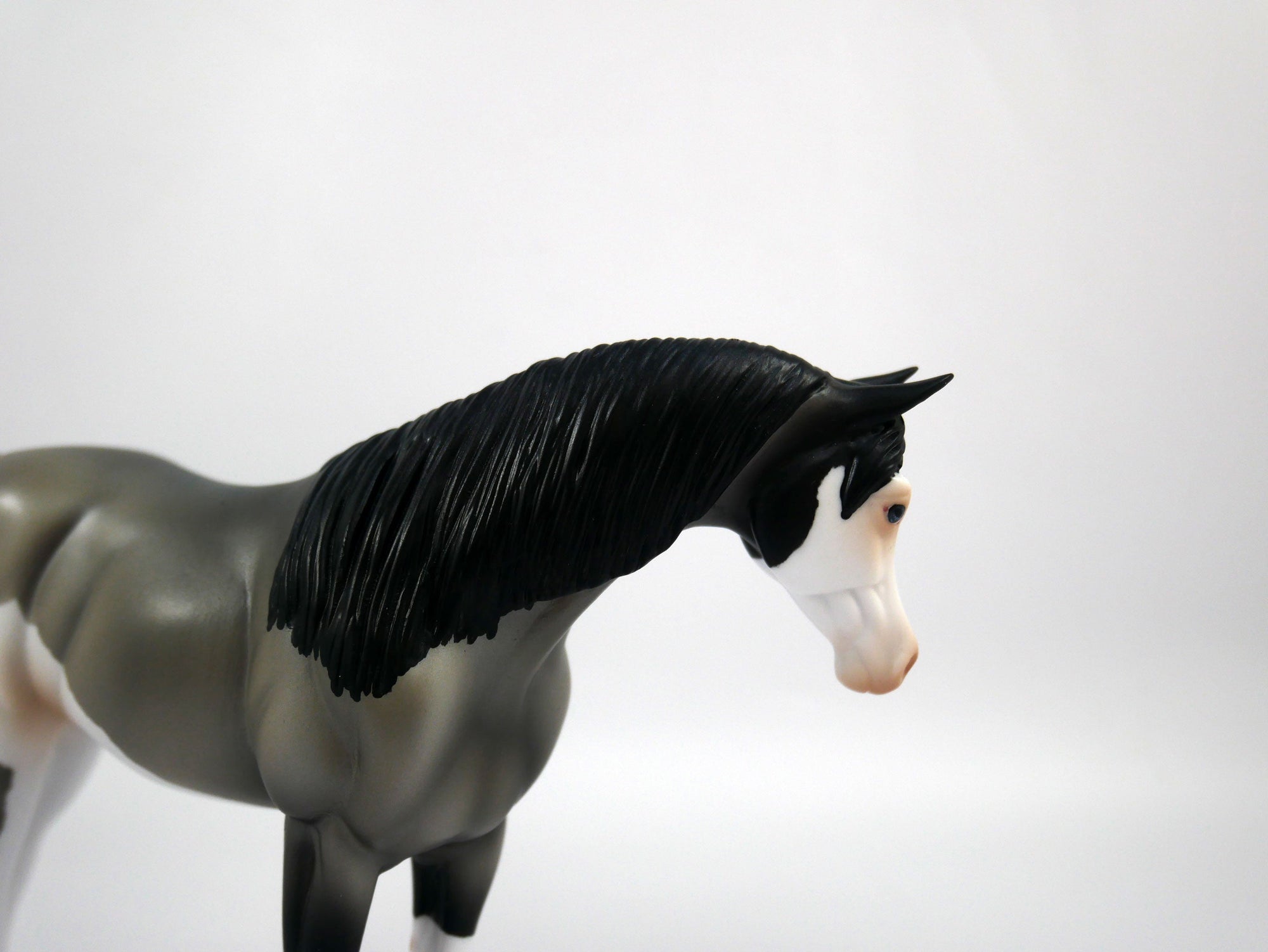 Sideline Cheer-OOAK Grulla  Arabian Pebbles  SB21