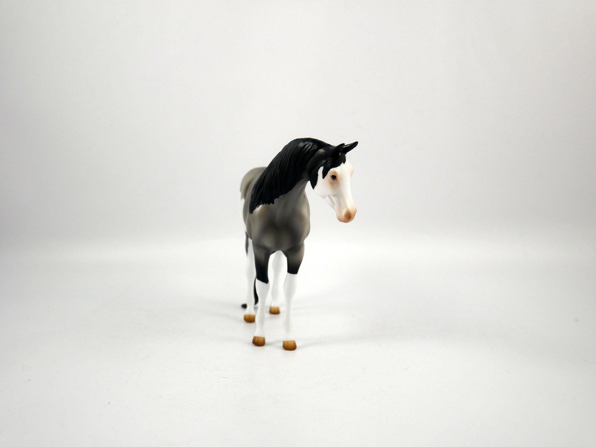 Sideline Cheer-OOAK Grulla  Arabian Pebbles  SB21