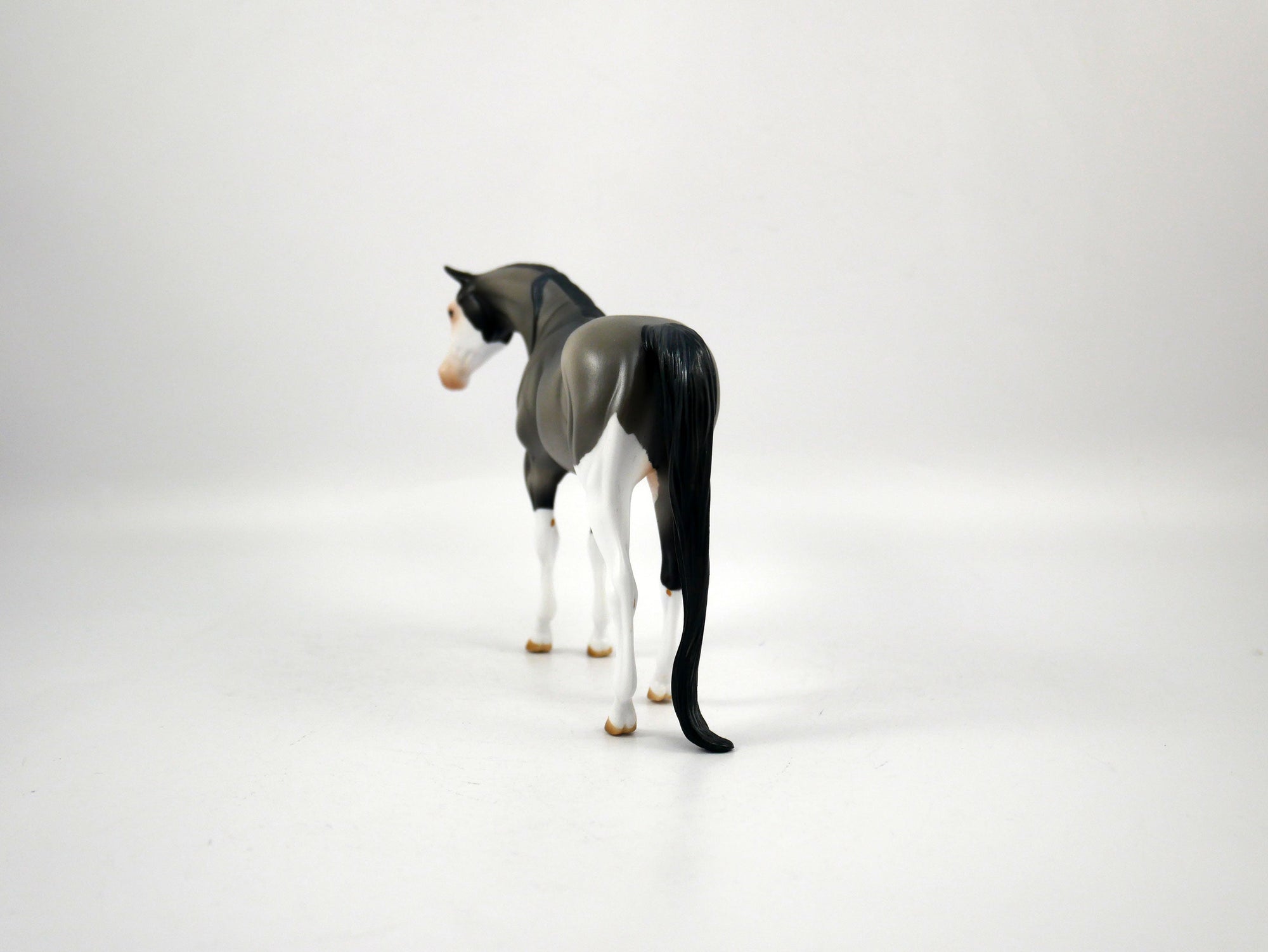 Sideline Cheer-OOAK Grulla  Arabian Pebbles  SB21