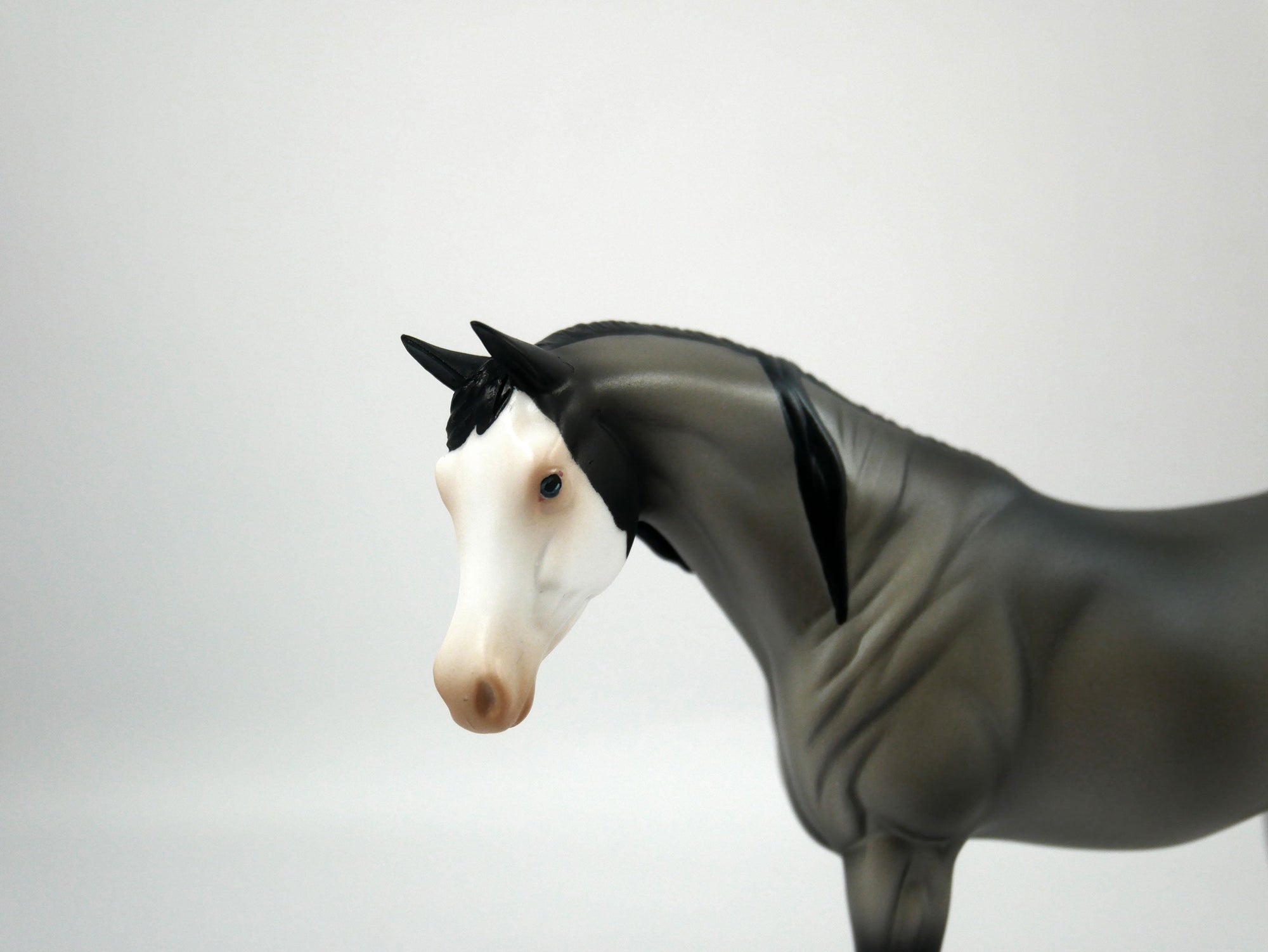 Sideline Cheer-OOAK Grulla  Arabian Pebbles  SB21