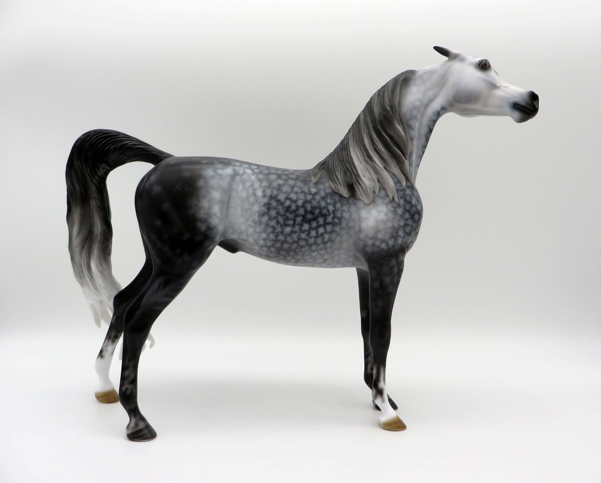 Silver Lace-OOAK Star Dapple Grey Arabian Stallion SHCF 21