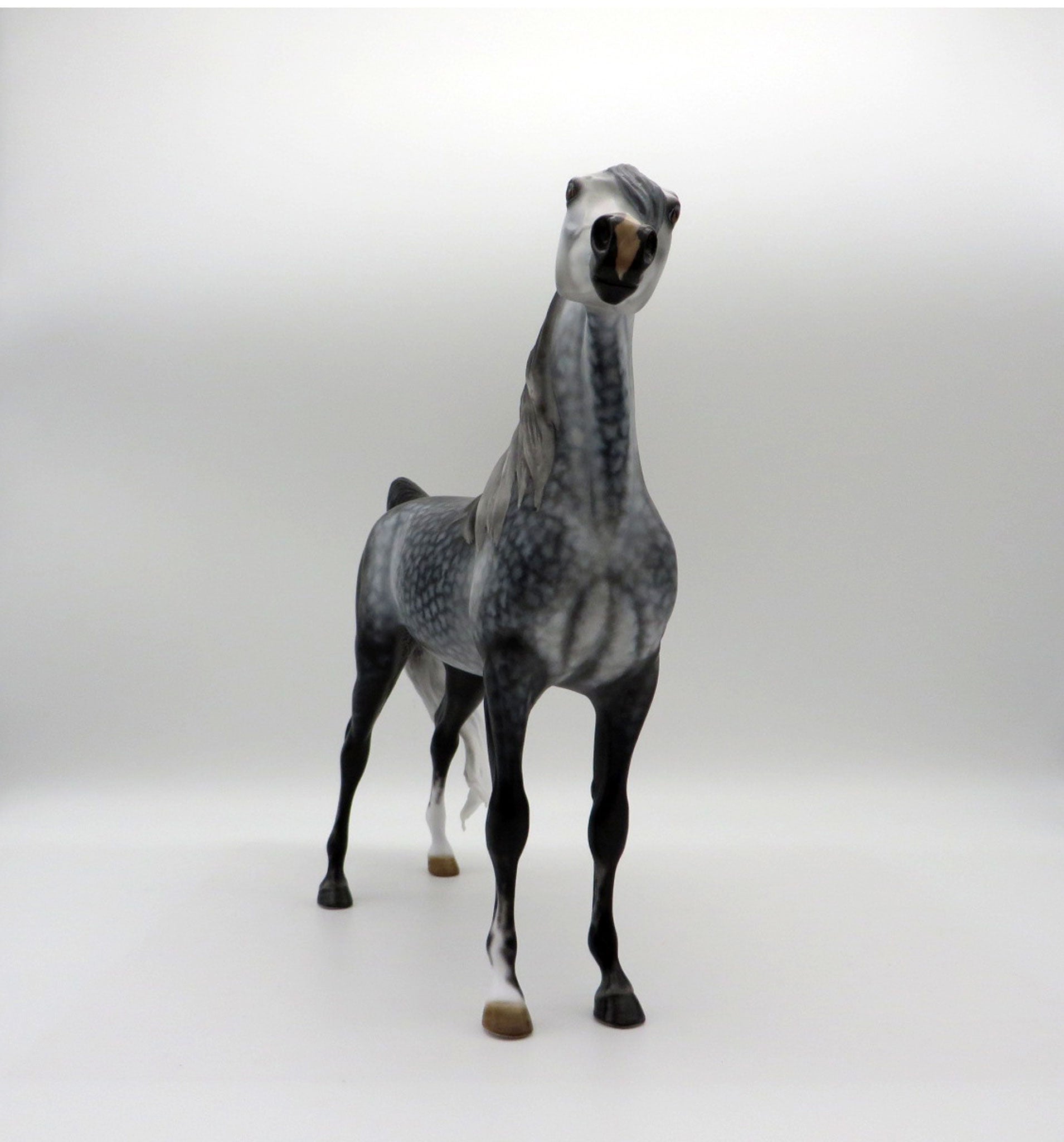 Silver Lace-OOAK Star Dapple Grey Arabian Stallion SHCF 21