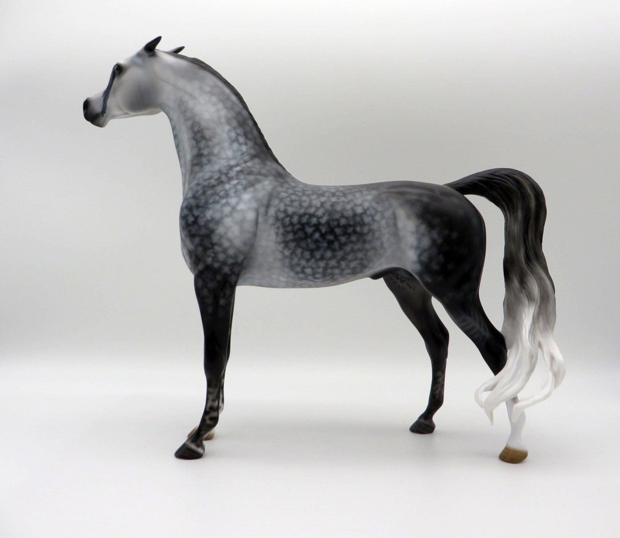 Silver Lace-OOAK Star Dapple Grey Arabian Stallion SHCF 21