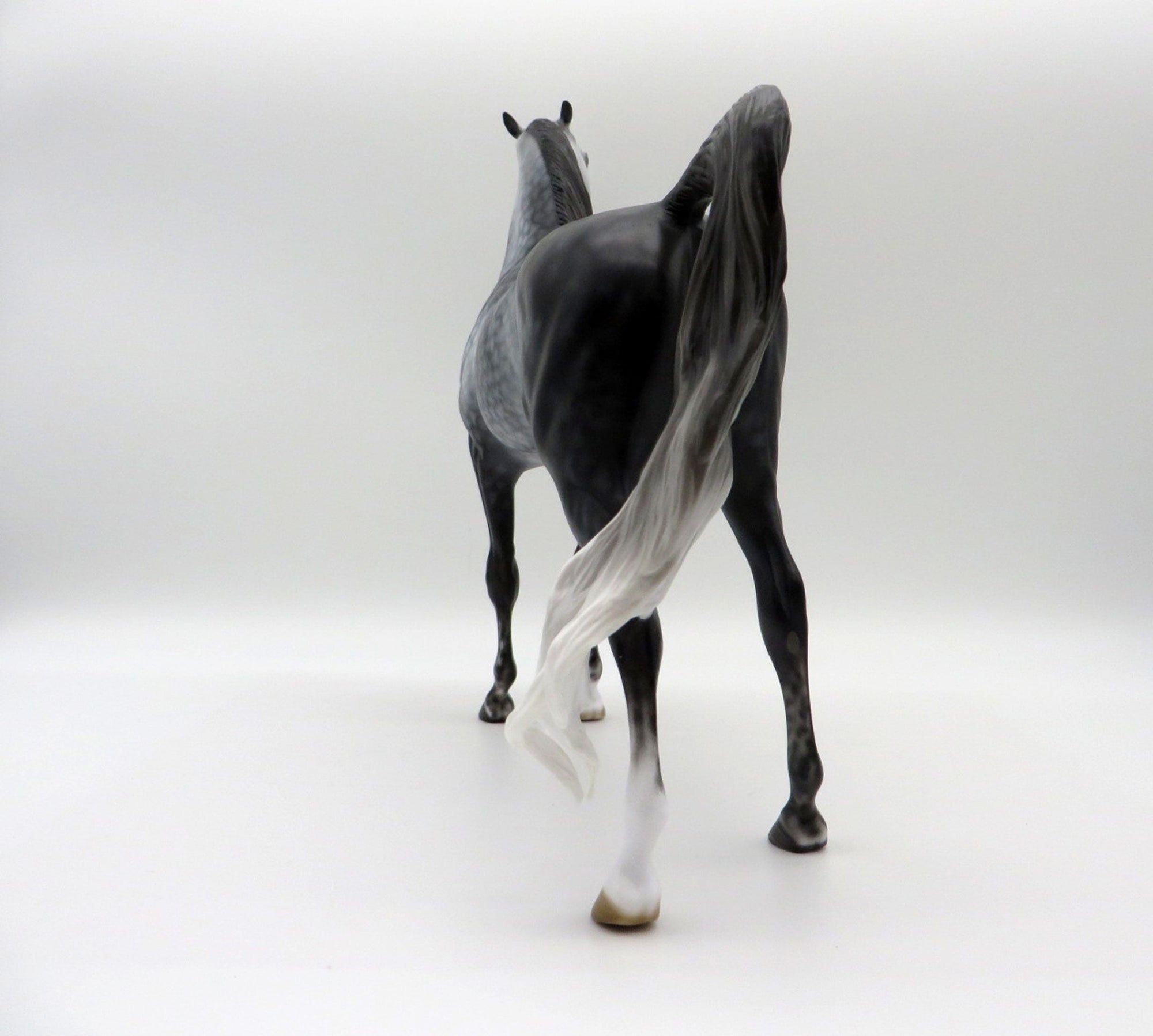 Silver Lace-OOAK Star Dapple Grey Arabian Stallion SHCF 21