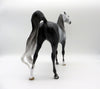 Silver Lace-OOAK Star Dapple Grey Arabian Stallion SHCF 21
