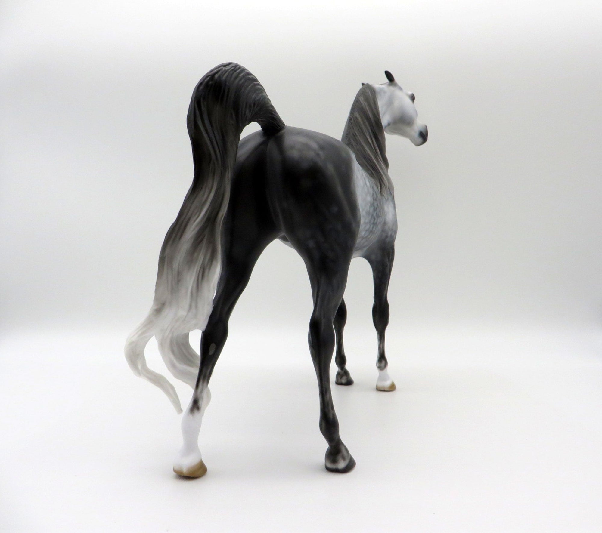 Silver Lace-OOAK Star Dapple Grey Arabian Stallion SHCF 21