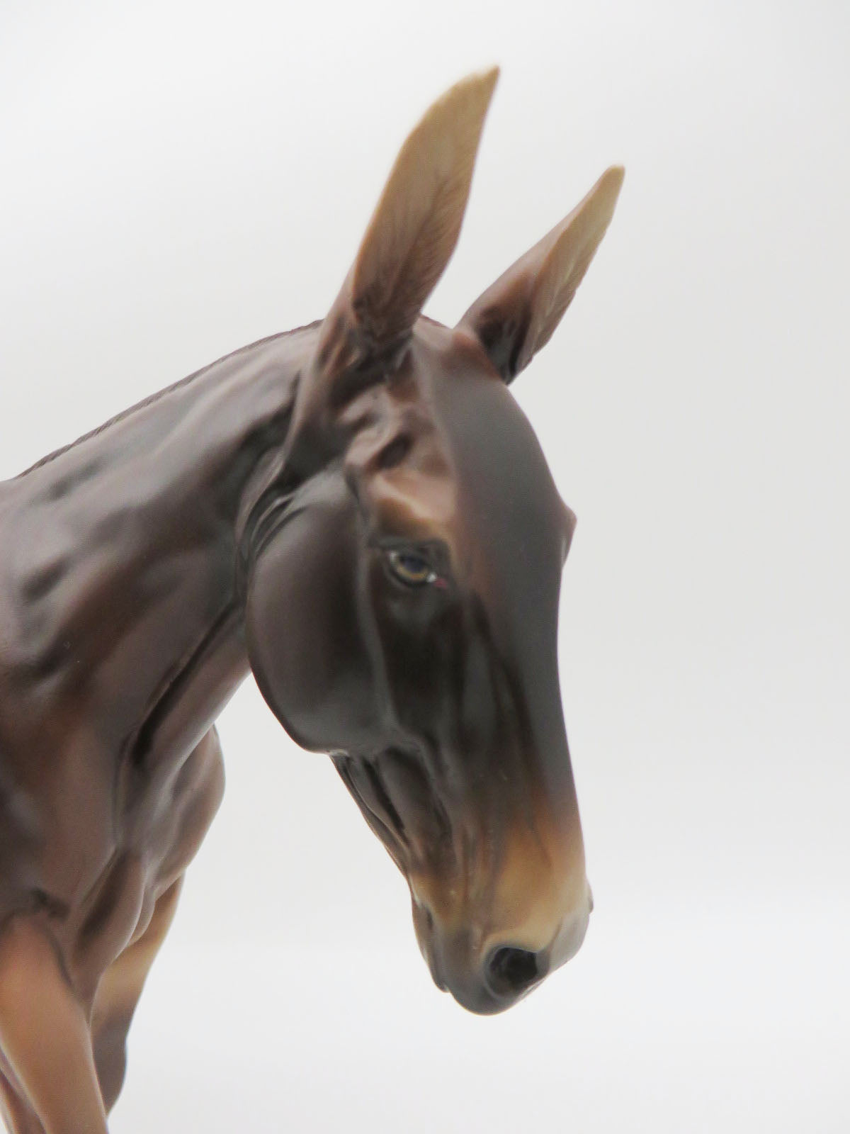 Silver Bell - OOAK - Dapple Silver Mule By Jess Hamill - CT22