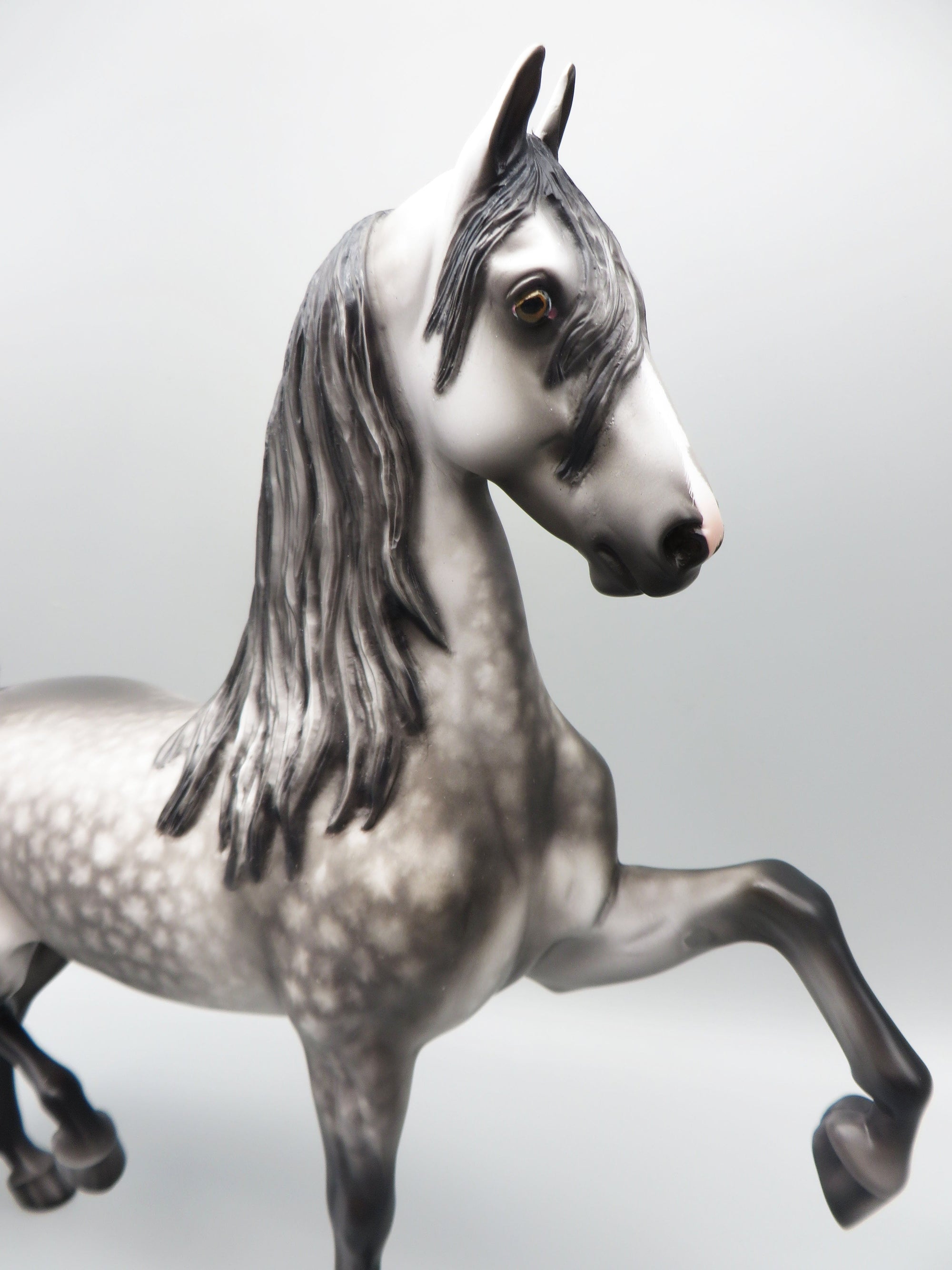 Sim City - OOAK - Dappled Grey American Saddlebred by Sheryl Leisure - Best Offer 5/30/23