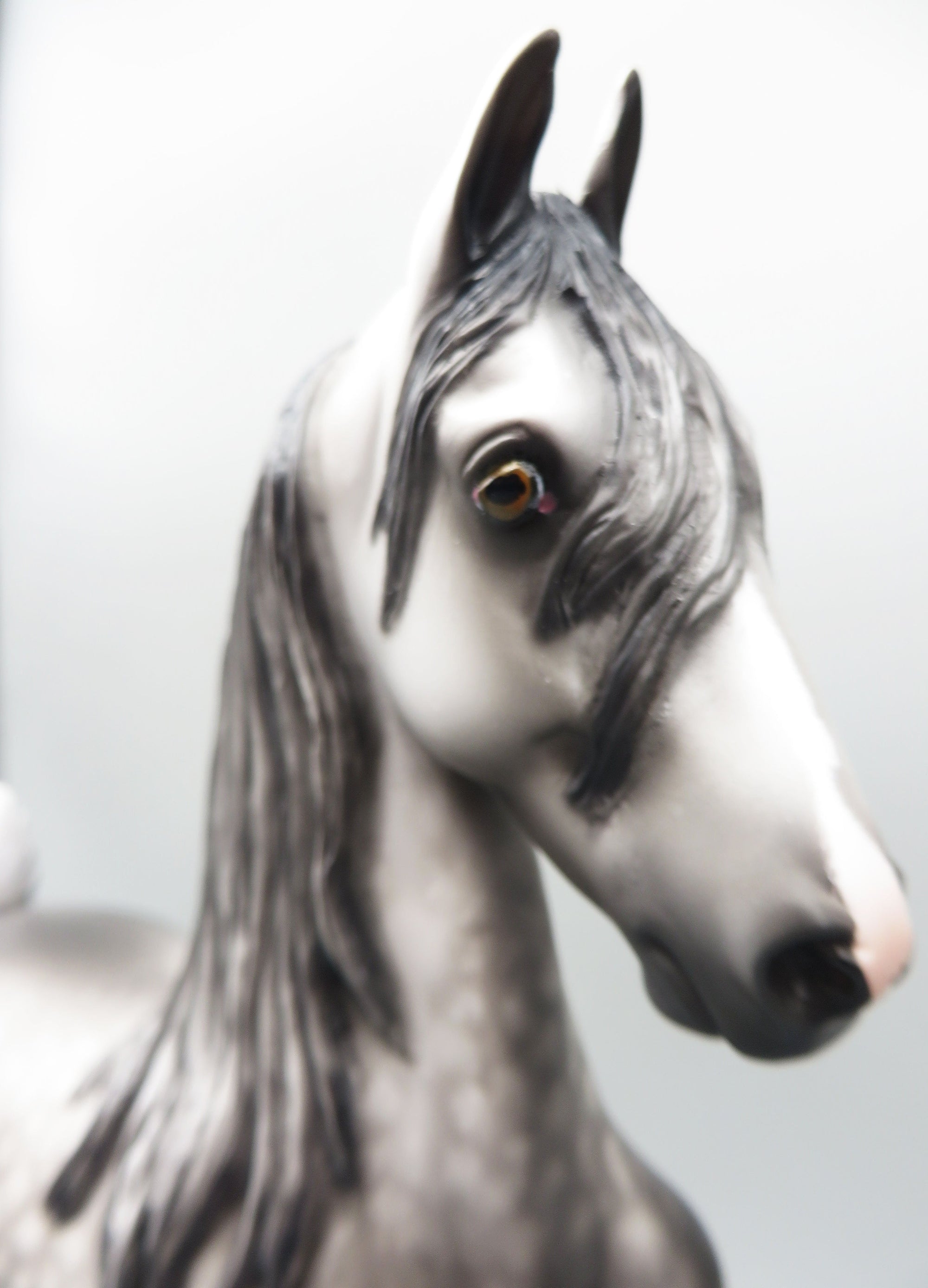 Sim City - OOAK - Dappled Grey American Saddlebred by Sheryl Leisure - Best Offer 5/30/23