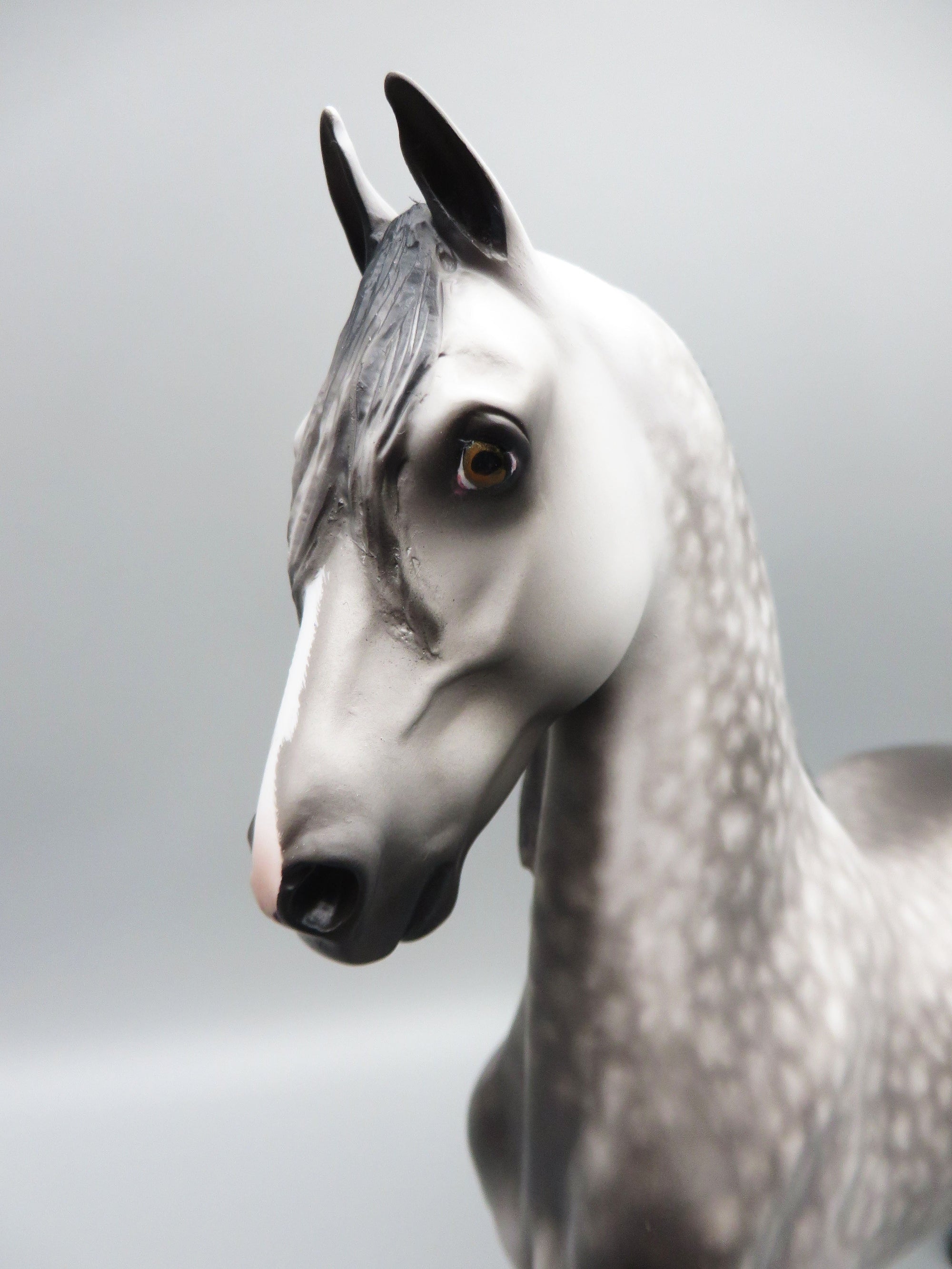 Sim City - OOAK - Dappled Grey American Saddlebred by Sheryl Leisure - Best Offer 5/30/23