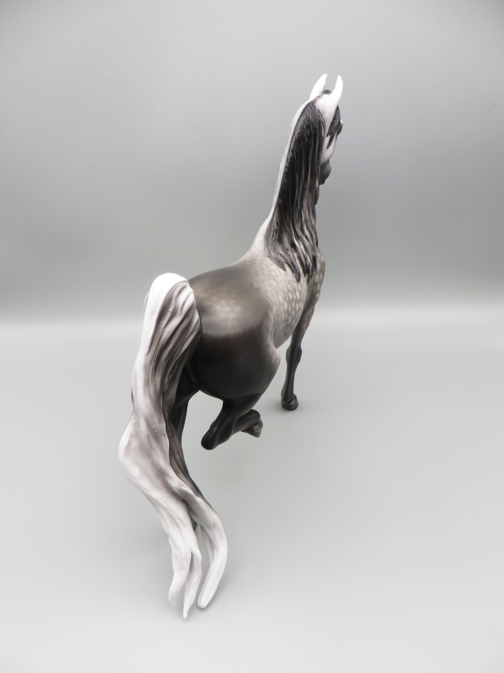 Sim City - OOAK - Dappled Grey American Saddlebred by Sheryl Leisure - Best Offer 5/30/23