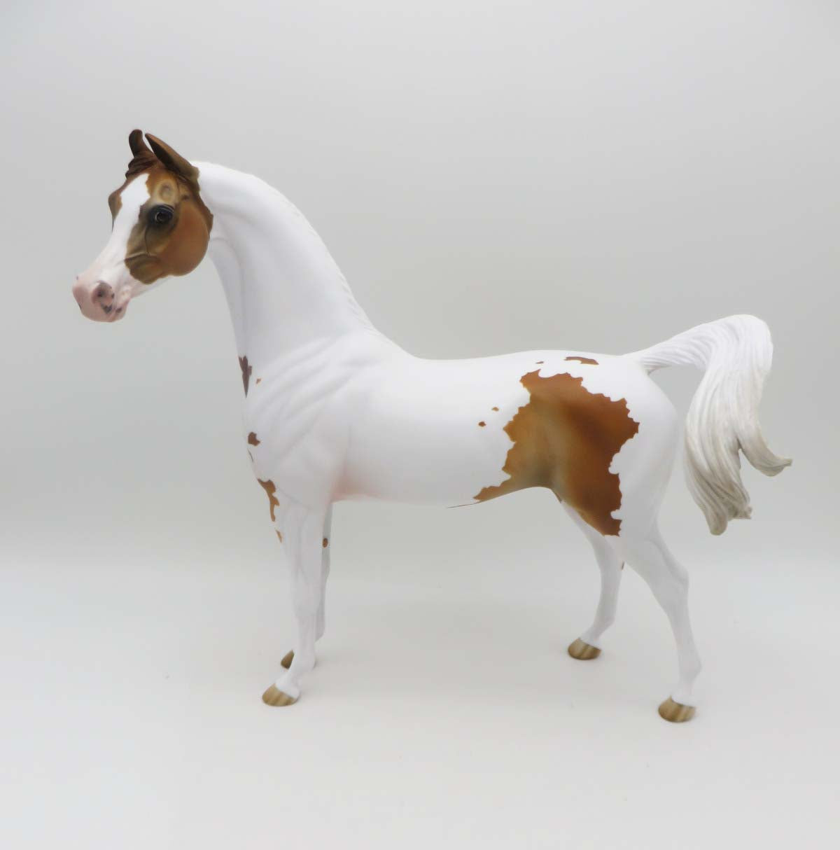 Simba - Chestnut Arabian Marwari By Jess Hamill - P&C 23