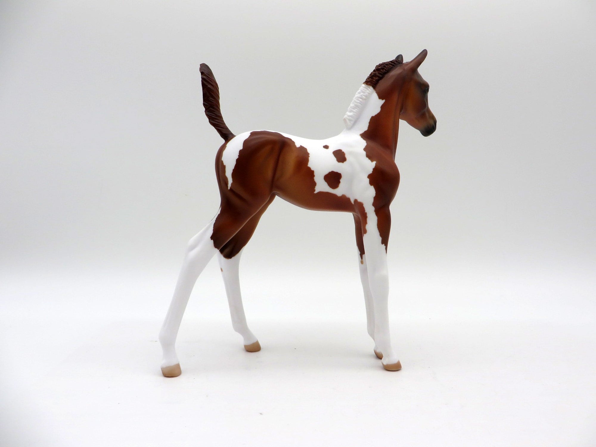 Simone-OOAK Chestnut Pinto Foal Painted by Julie Keim EQ 21