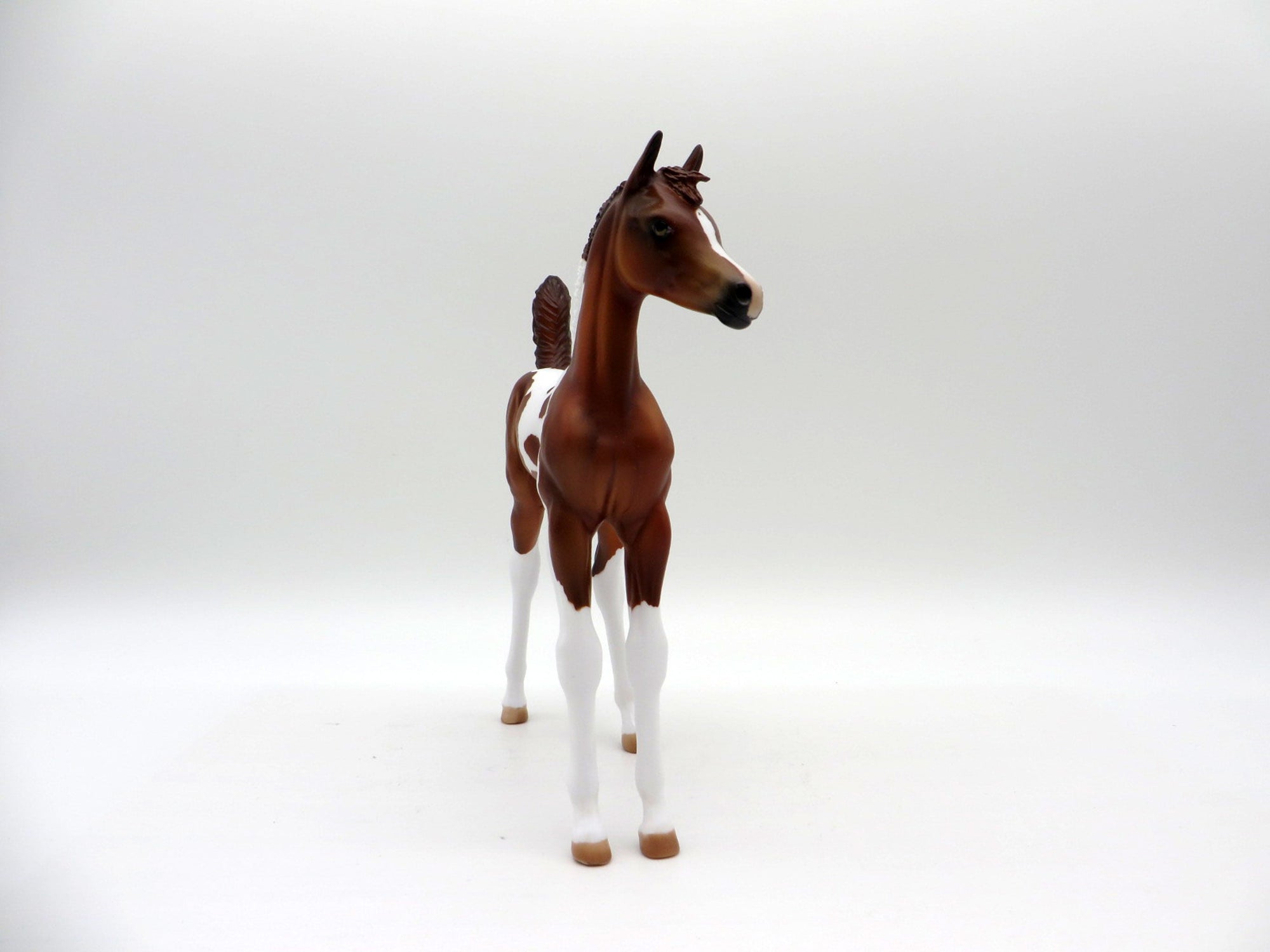 Simone-OOAK Chestnut Pinto Foal Painted by Julie Keim EQ 21