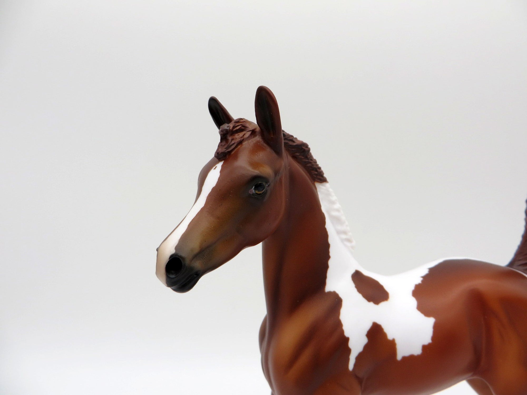 Simone-OOAK Chestnut Pinto Foal Painted by Julie Keim EQ 21