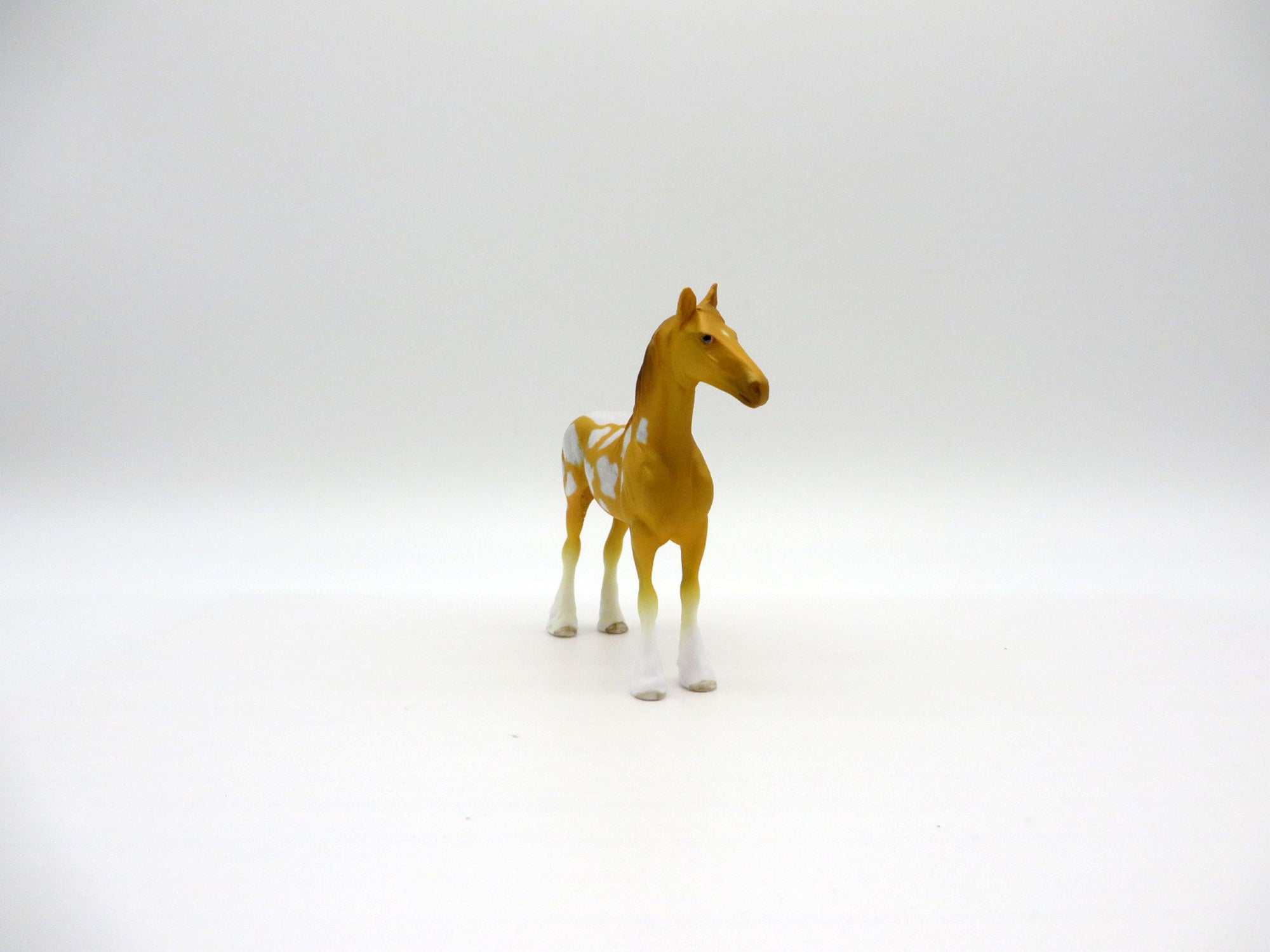 Siphop-OOAK Chip Drafter Deco Sea Slug Painted By Ellen Robbins 7/16/21