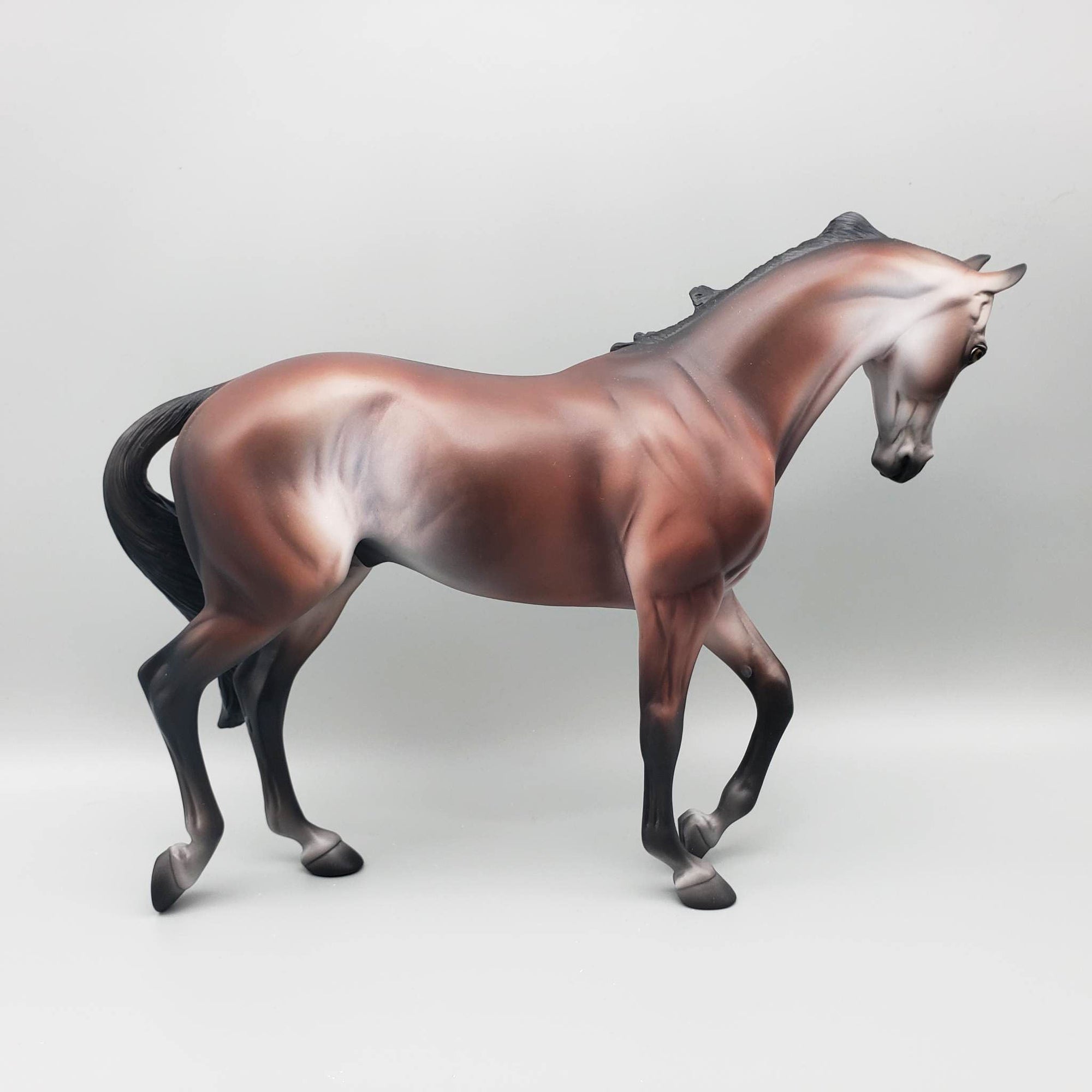 Sir Gideon - OOAK - Bay Going Grey Thoroughbred By Jess Hamill EQ23