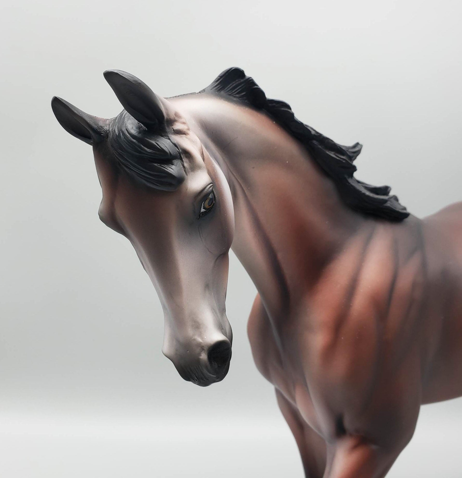 Sir Gideon - OOAK - Bay Going Grey Thoroughbred By Jess Hamill EQ23